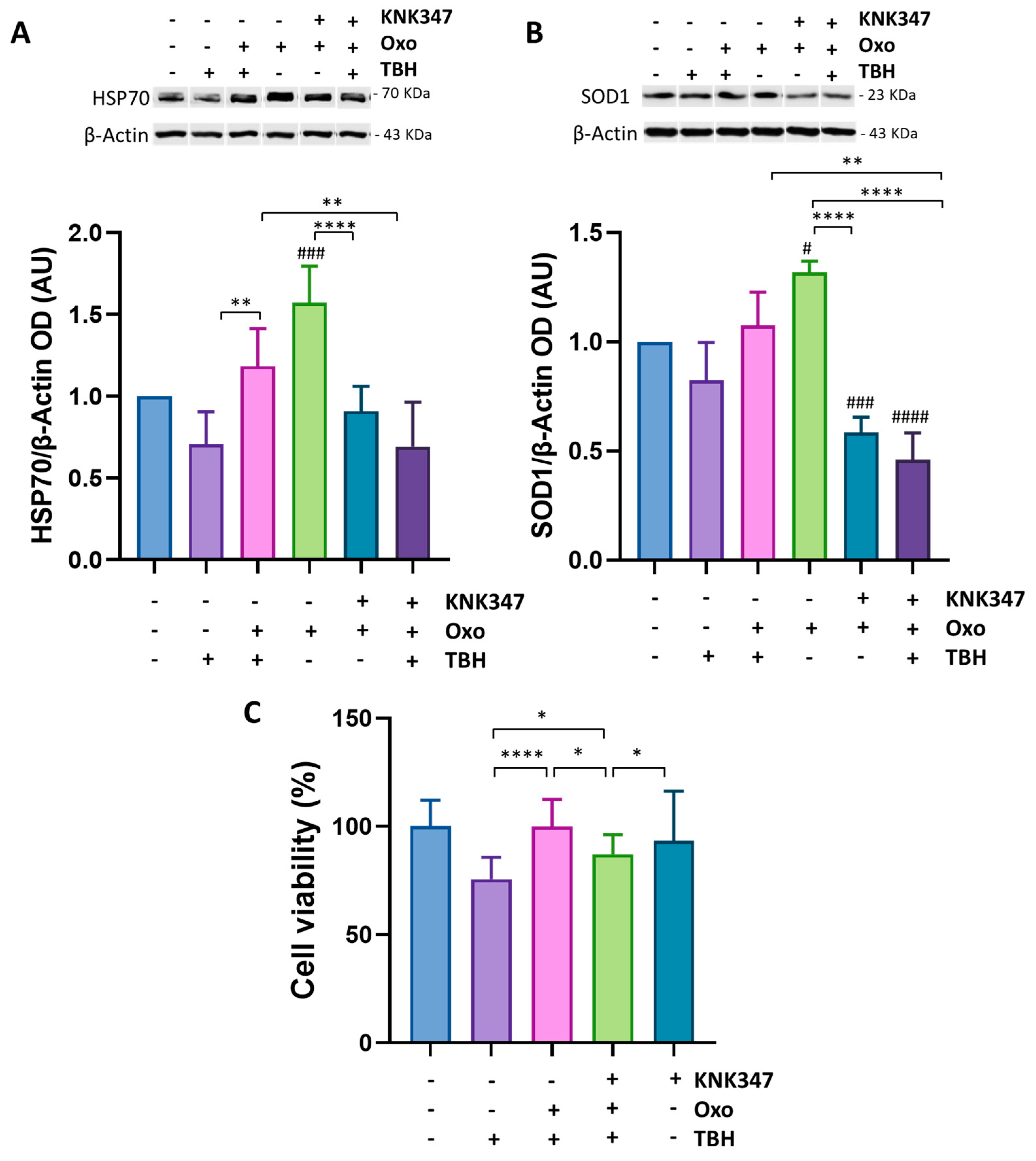 Antioxidants 12 00687 g007