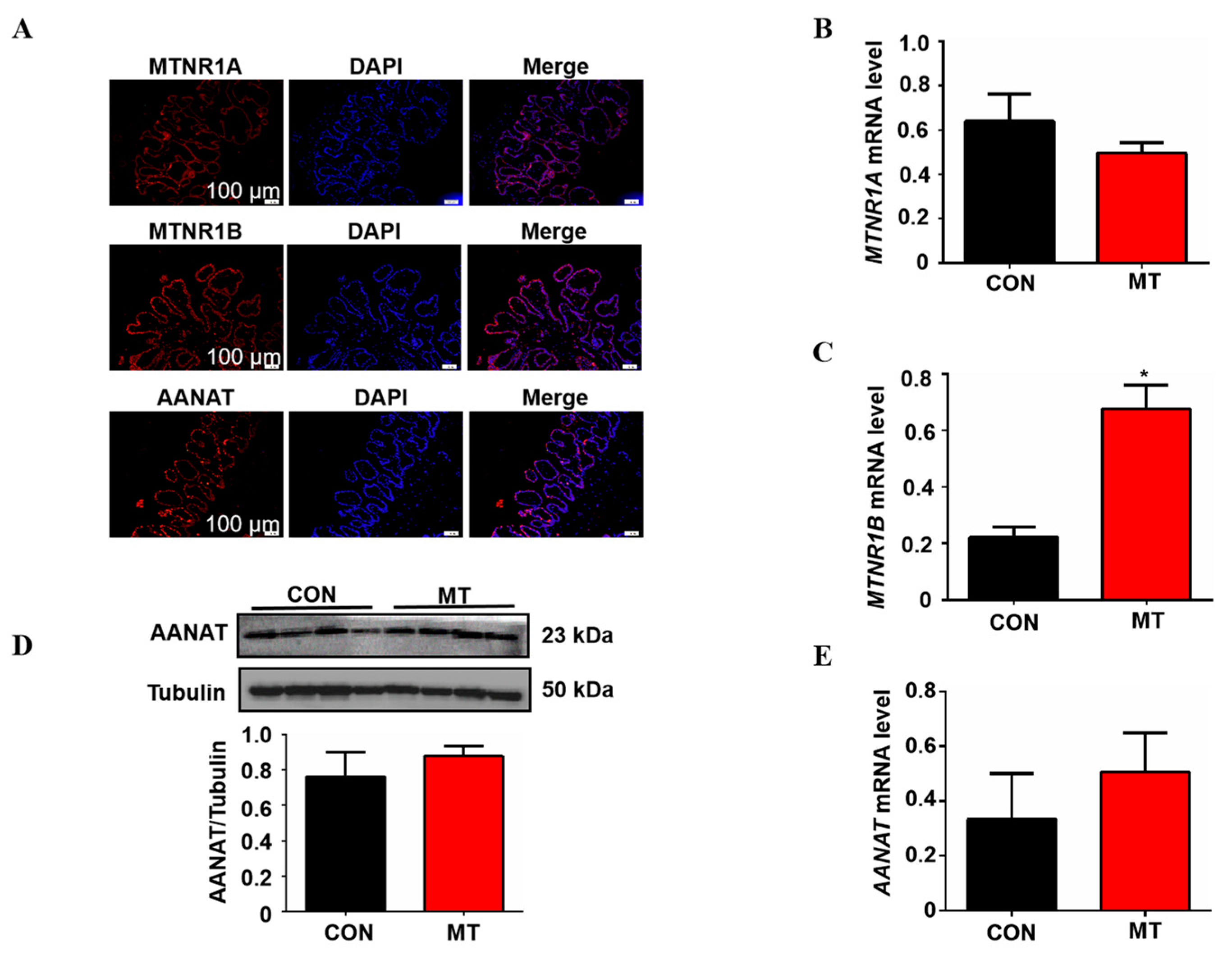 Antioxidants 12 00688 g004