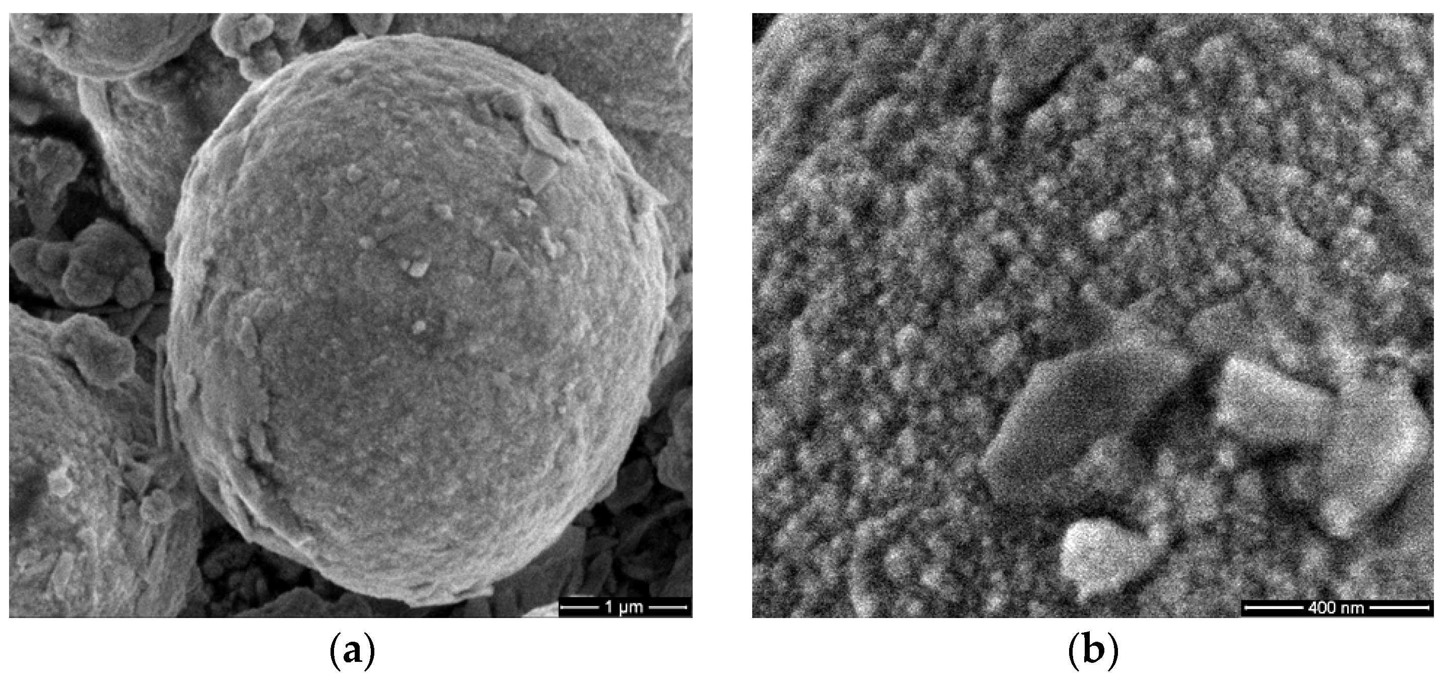 Antioxidants 12 00691 g001a Antioxidants 12 00691 g001a