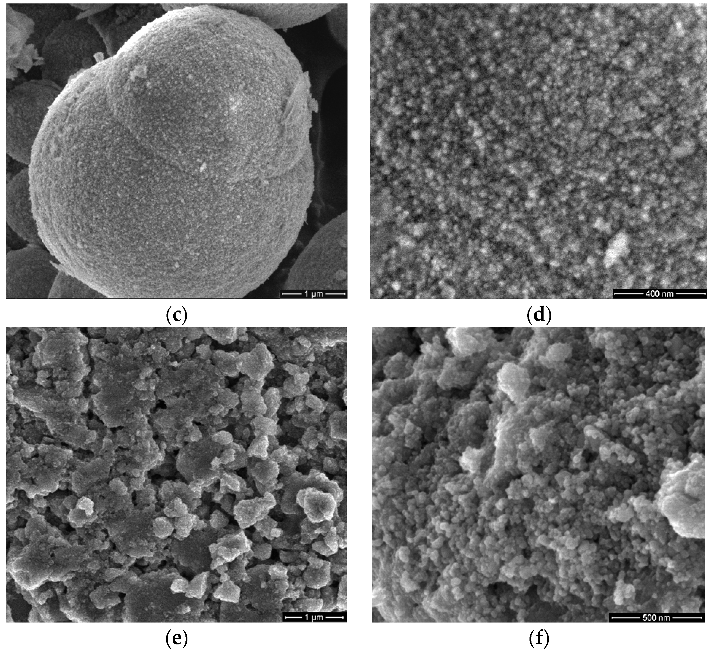 Antioxidants 12 00691 g001b Antioxidants 12 00691 g001b
