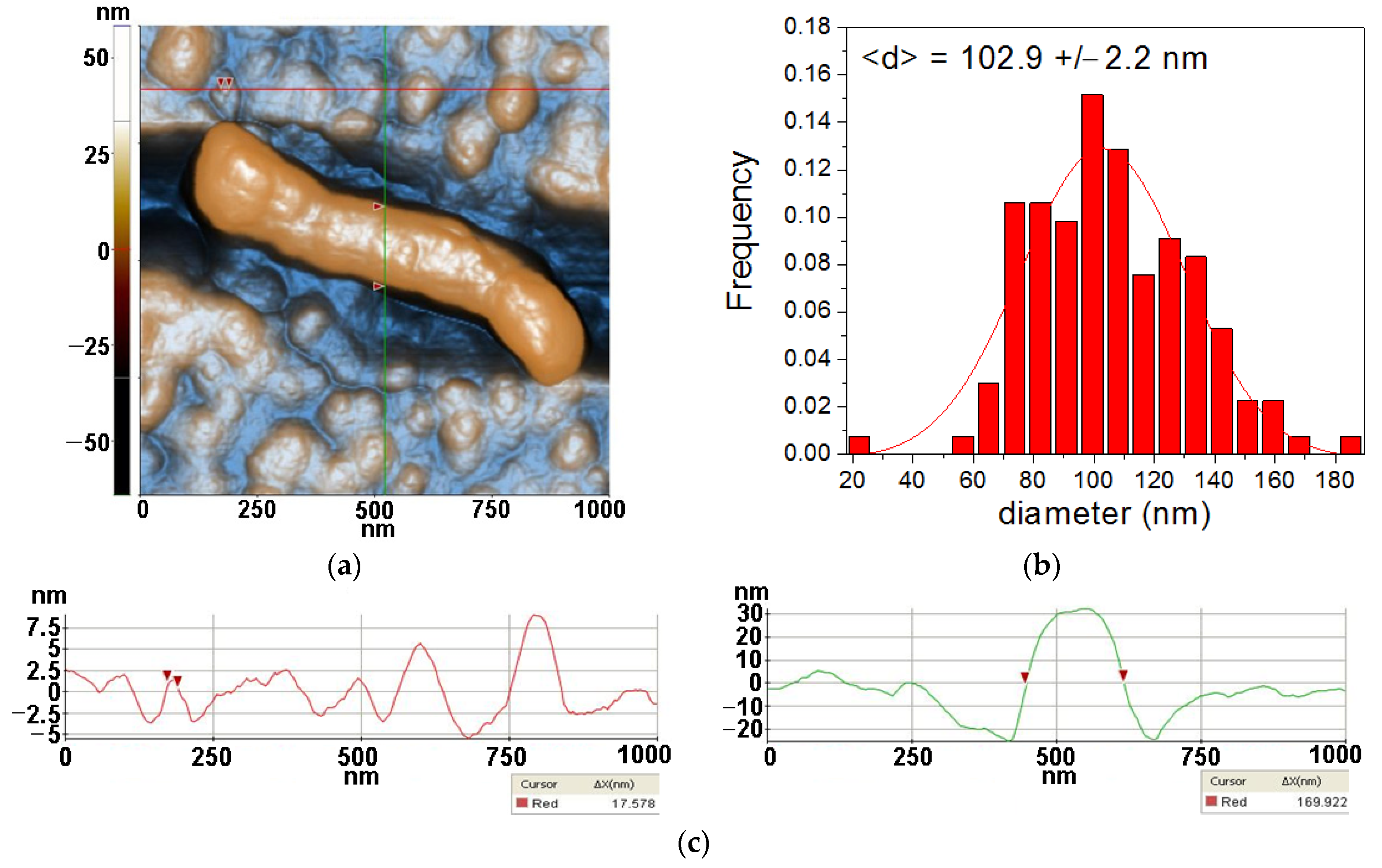 Antioxidants 12 00691 g004 Antioxidants 12 00691 g004