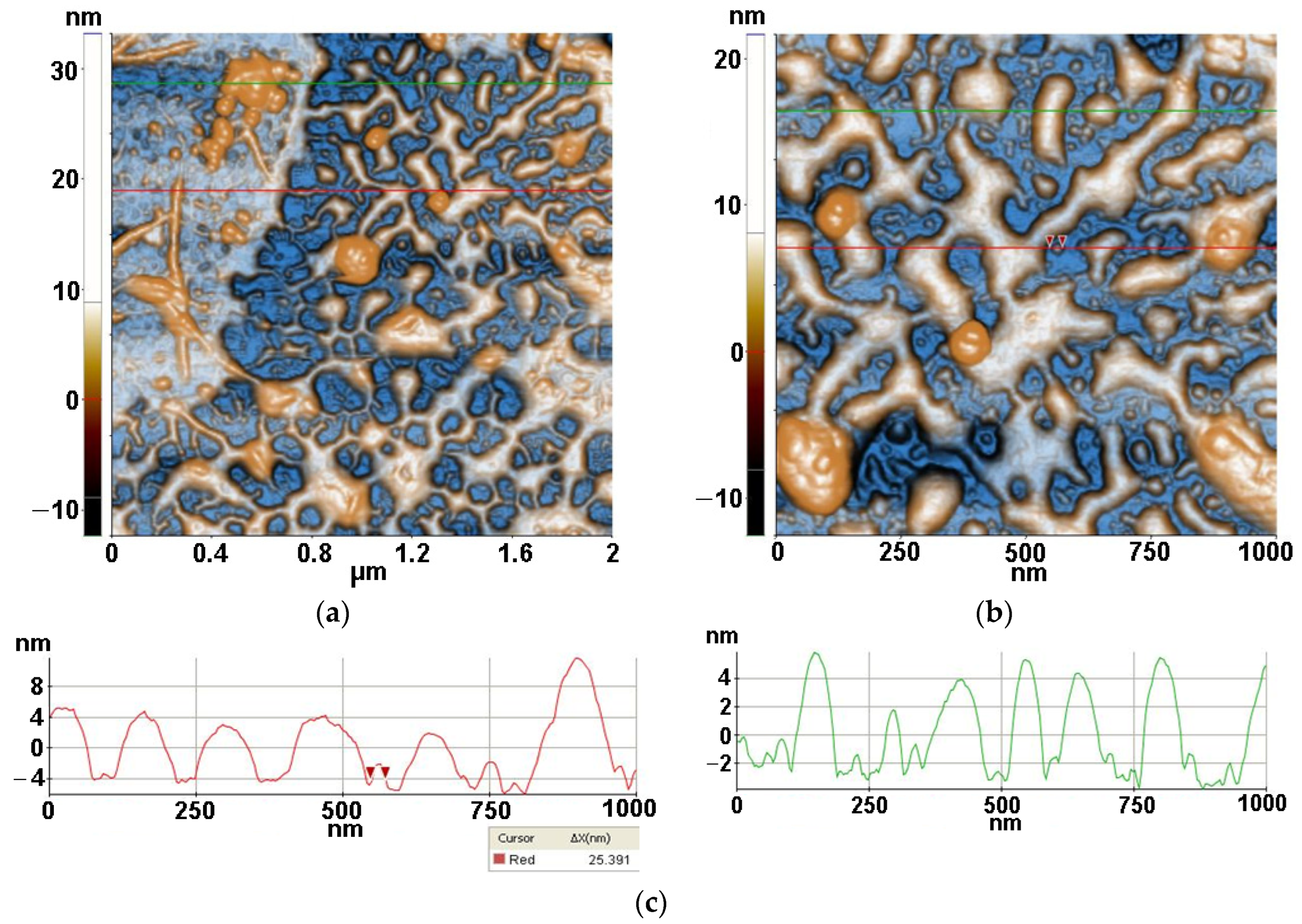 Antioxidants 12 00691 g005 Antioxidants 12 00691 g005