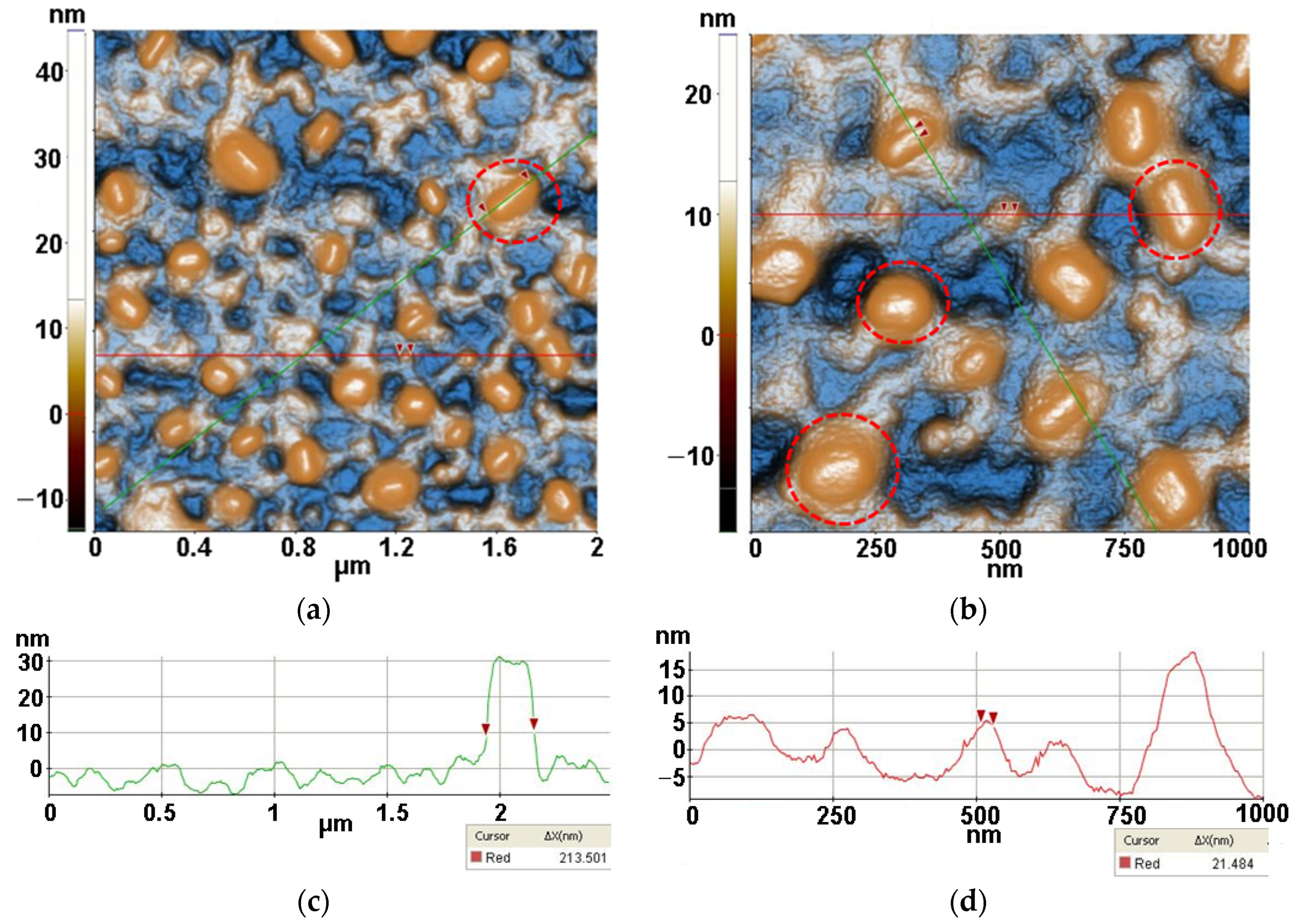 Antioxidants 12 00691 g006 Antioxidants 12 00691 g006