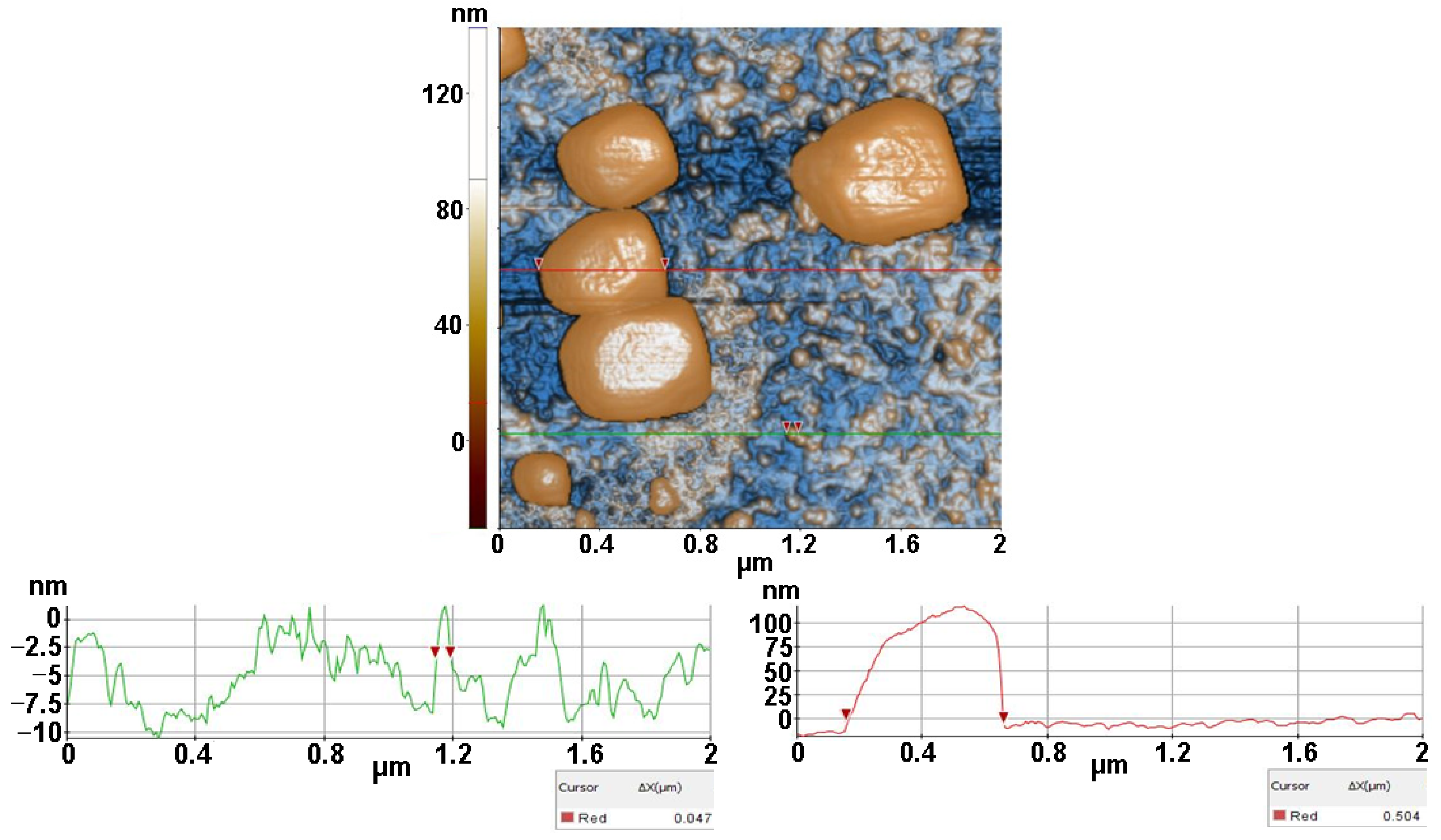 Antioxidants 12 00691 g008 Antioxidants 12 00691 g008