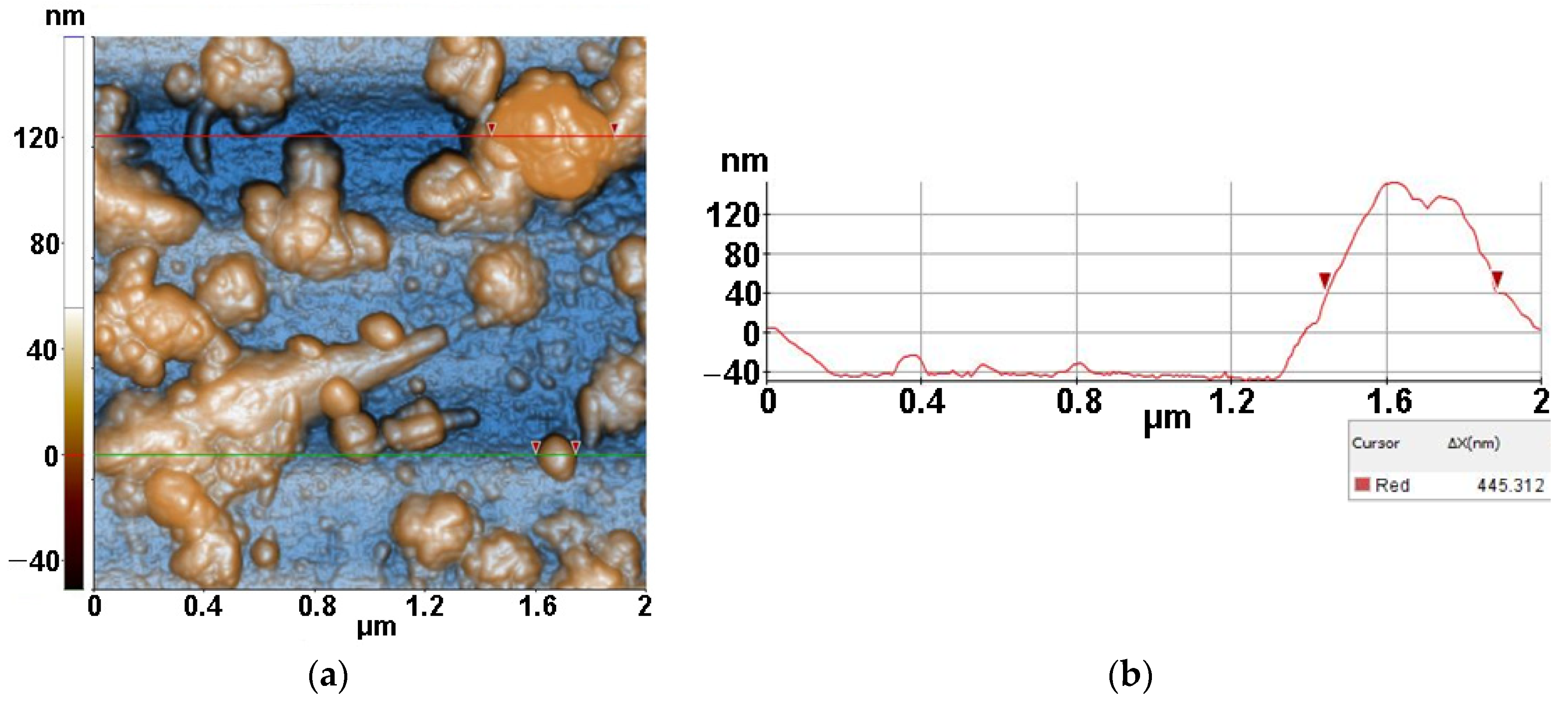 Antioxidants 12 00691 g010 Antioxidants 12 00691 g010