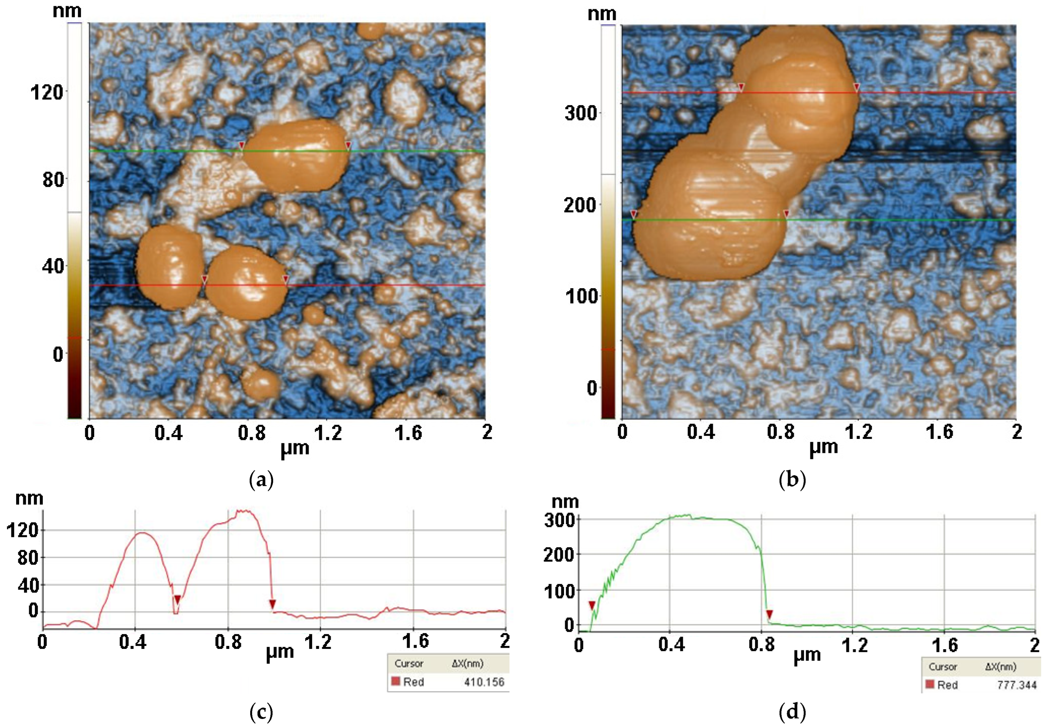 Antioxidants 12 00691 g012 Antioxidants 12 00691 g012