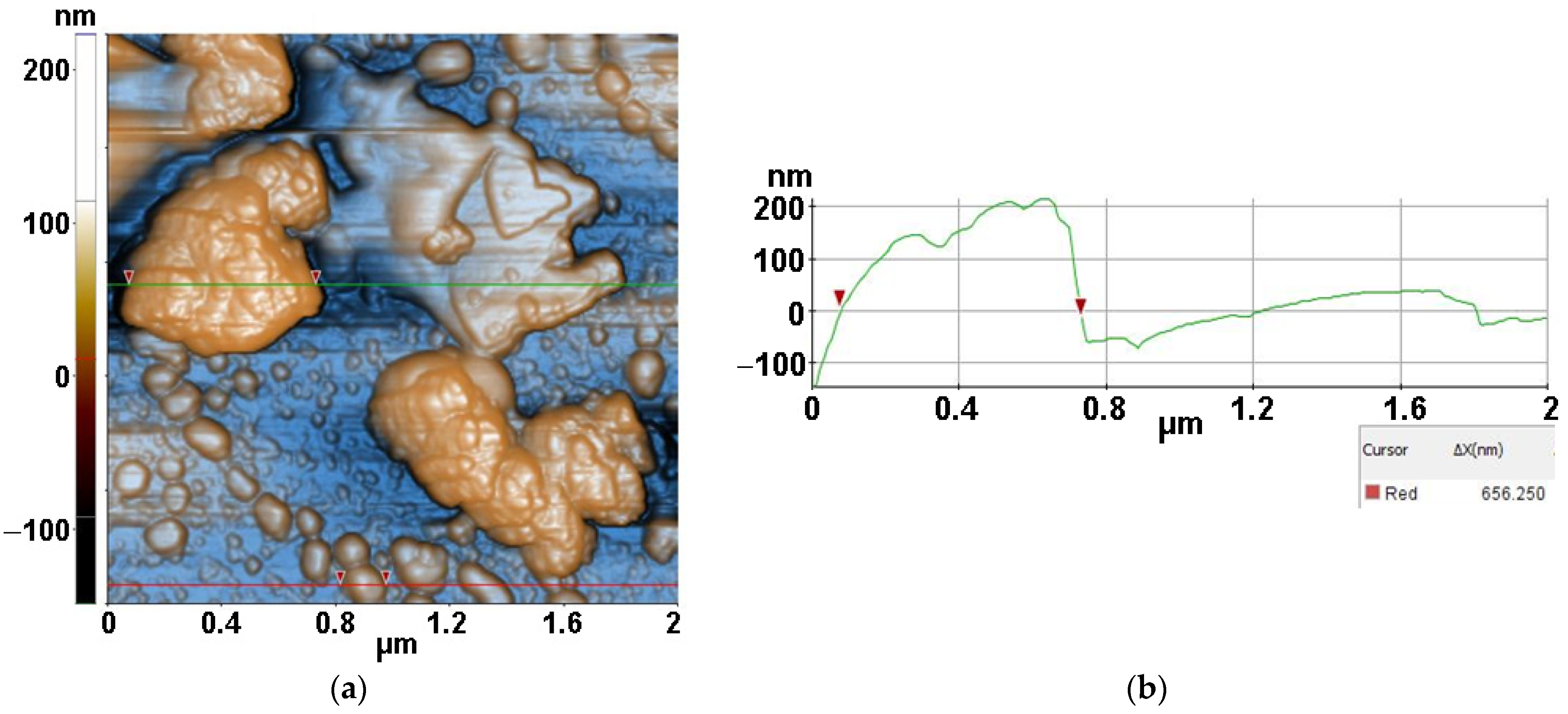 Antioxidants 12 00691 g013 Antioxidants 12 00691 g013