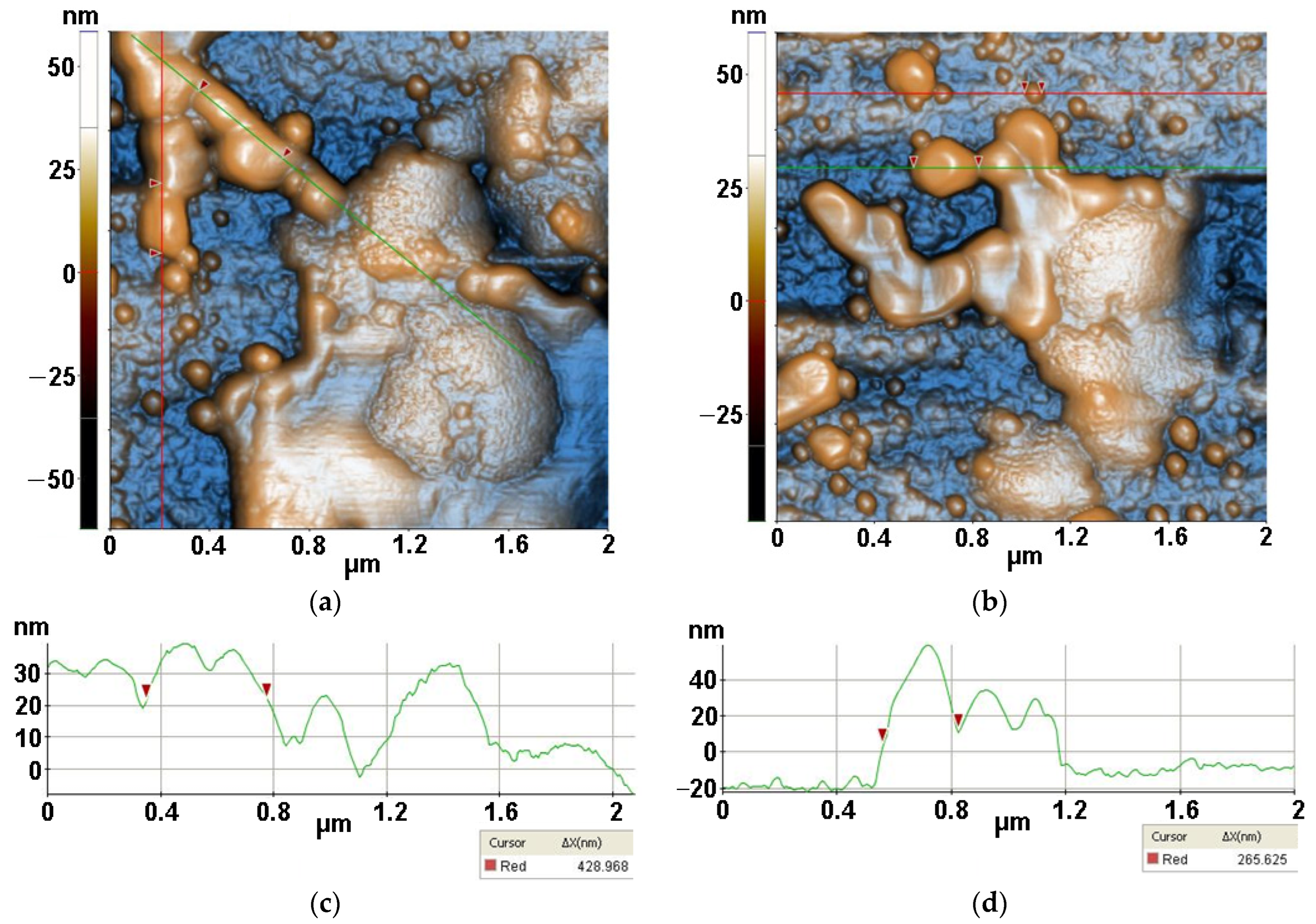 Antioxidants 12 00691 g014 Antioxidants 12 00691 g014
