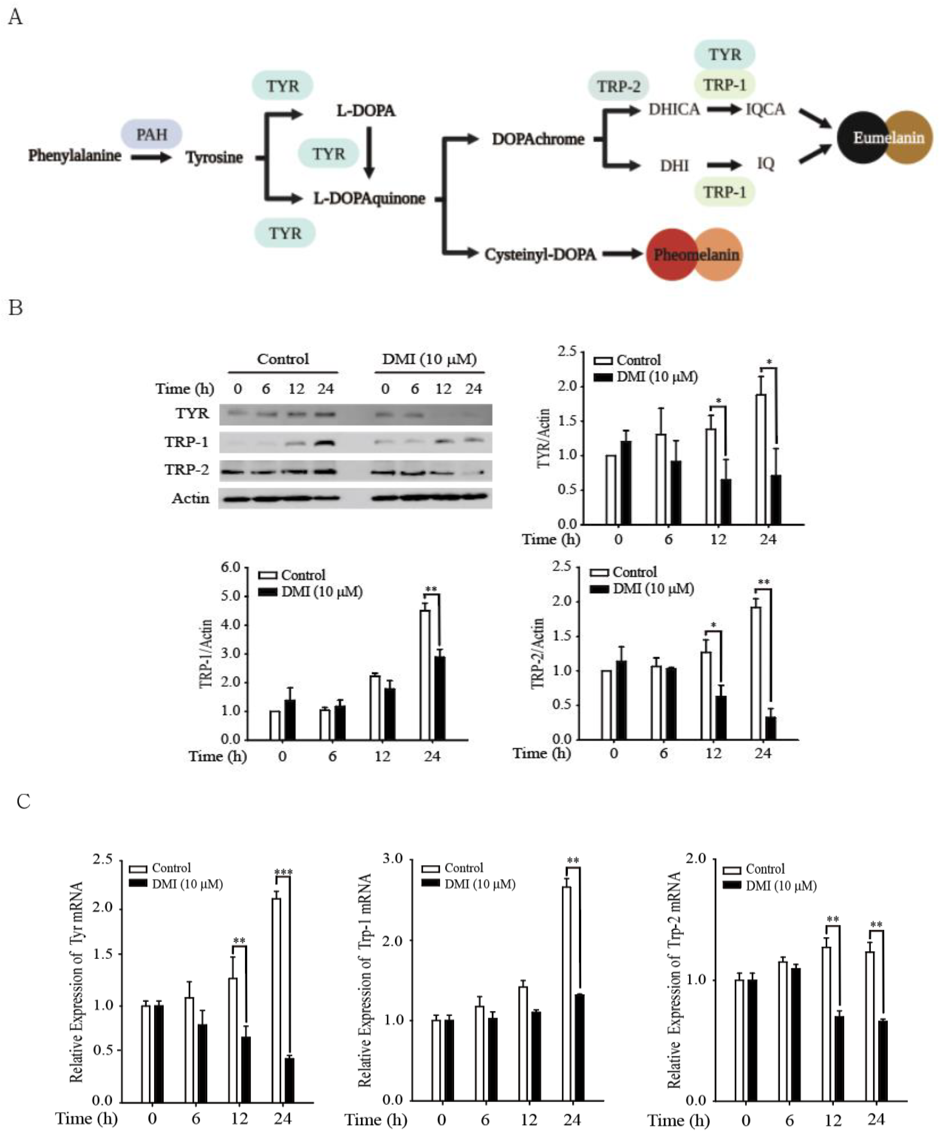 Antioxidants 12 00692 g002 Antioxidants 12 00692 g002