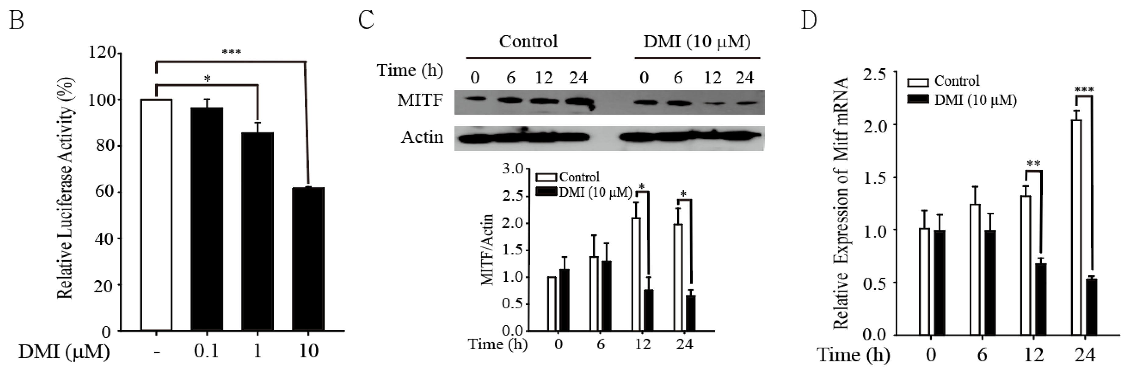 Antioxidants 12 00692 g003b Antioxidants 12 00692 g003b