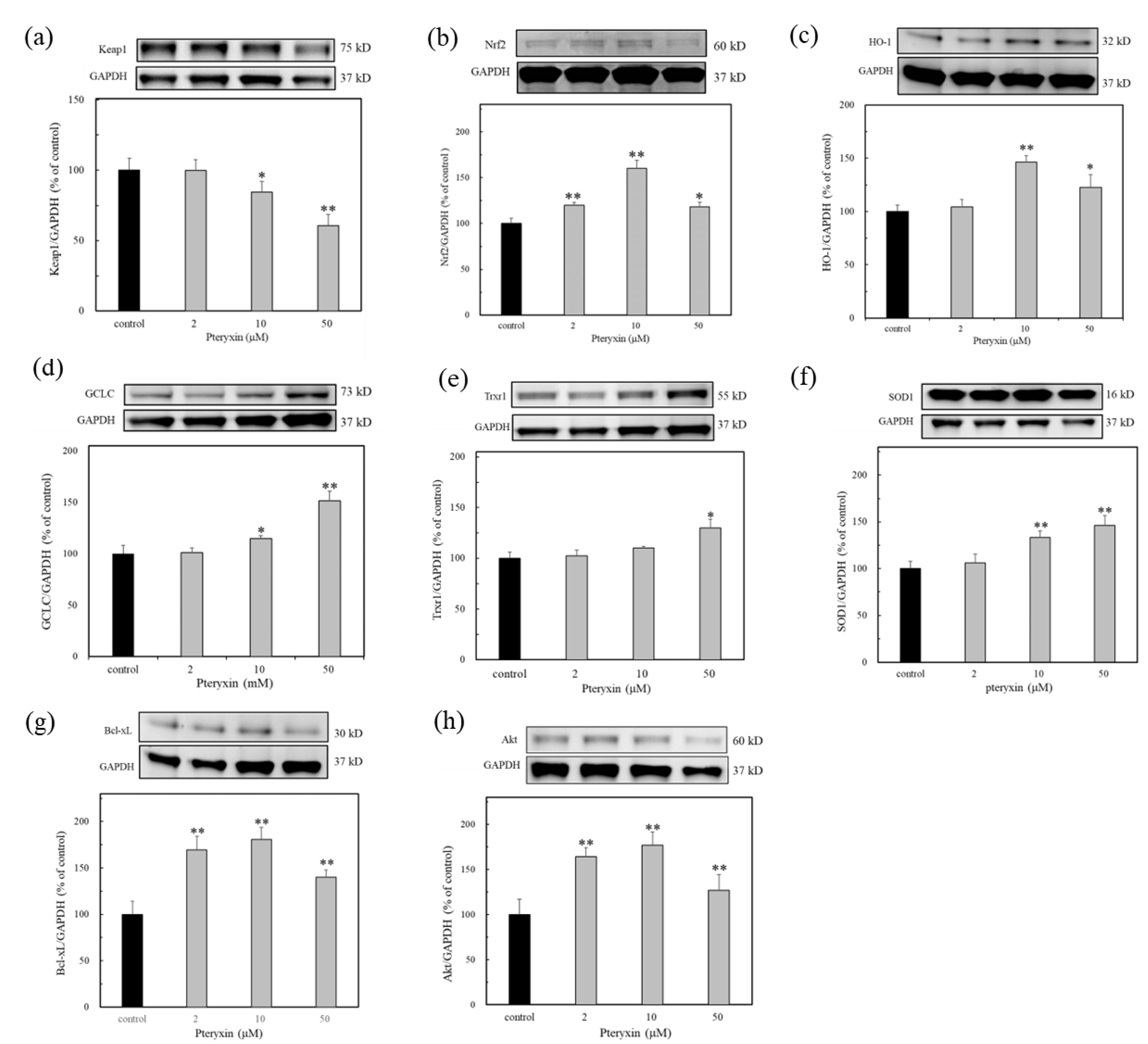 Antioxidants 12 00693 g004
