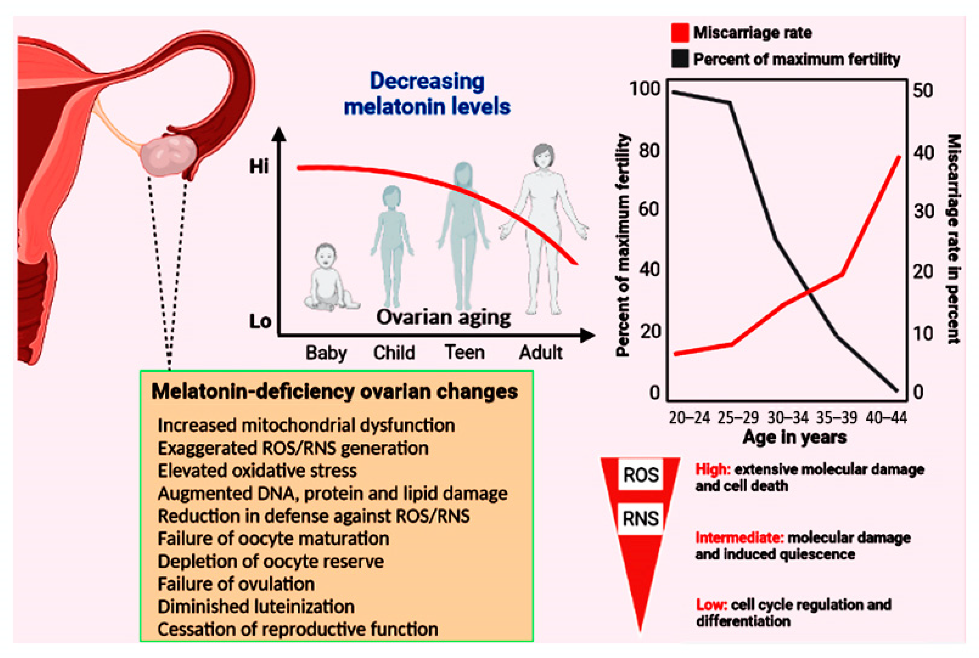 Antioxidants 12 00695 g002 Antioxidants 12 00695 g002