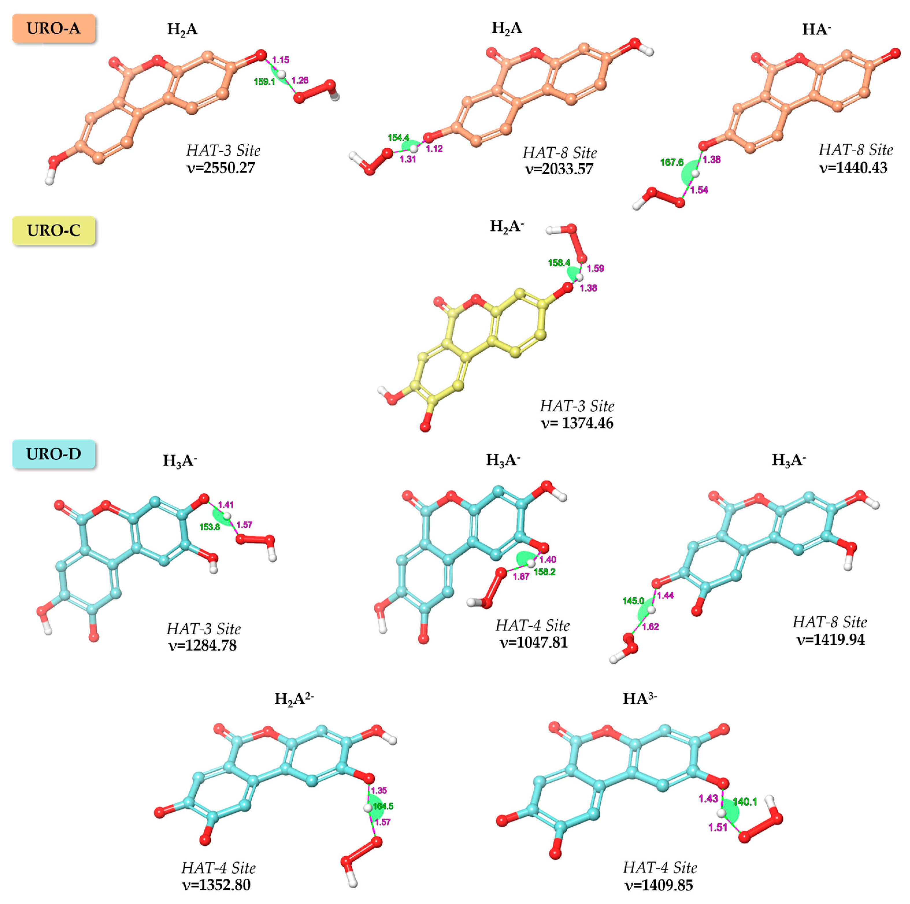 Antioxidants 12 00697 g003 Antioxidants 12 00697 g003