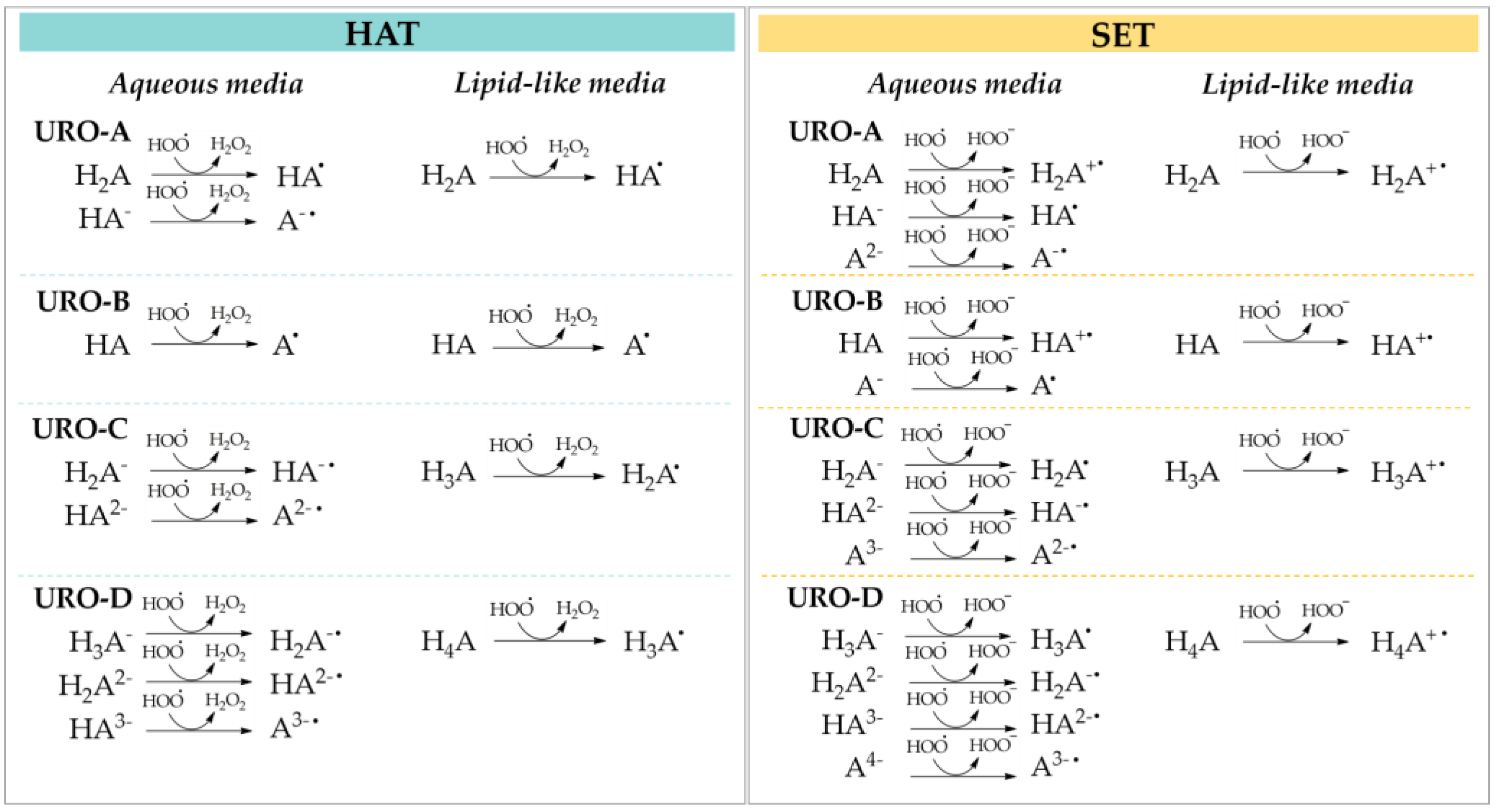 Antioxidants 12 00697 sch001 Antioxidants 12 00697 sch001