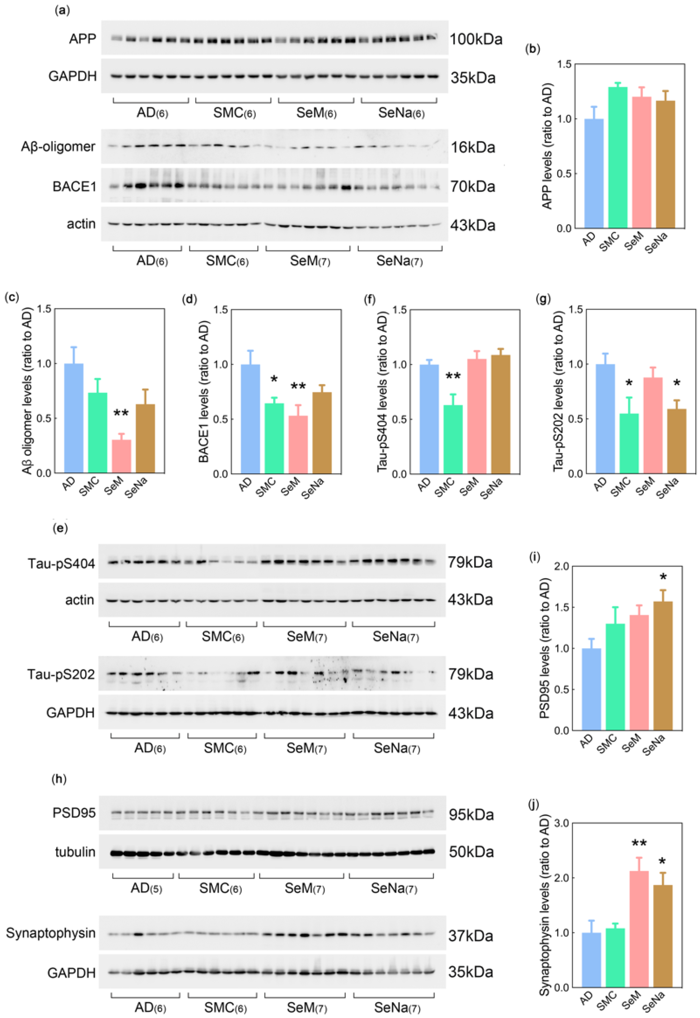 Antioxidants 12 00702 g002 Antioxidants 12 00702 g002