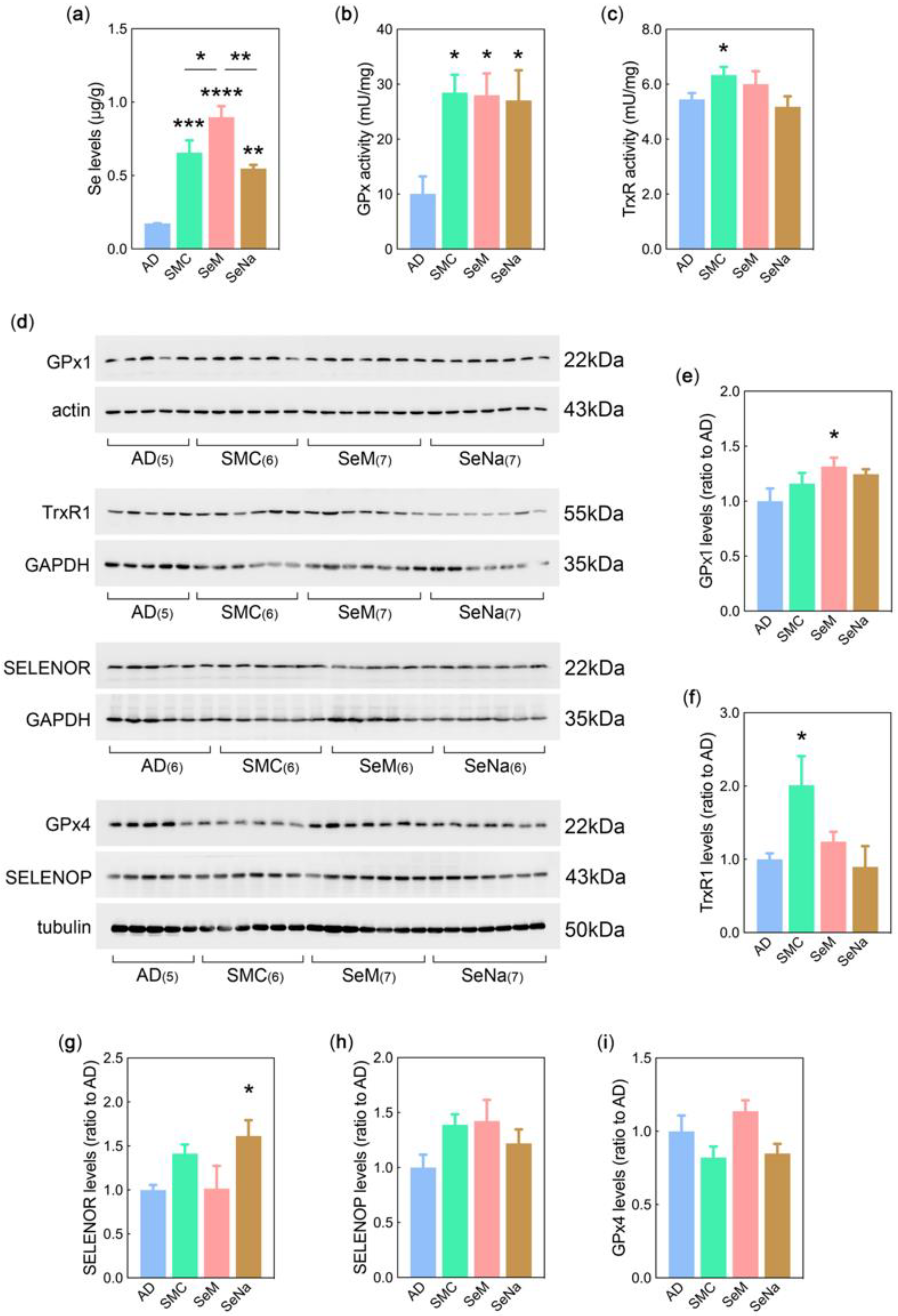 Antioxidants 12 00702 g003 Antioxidants 12 00702 g003