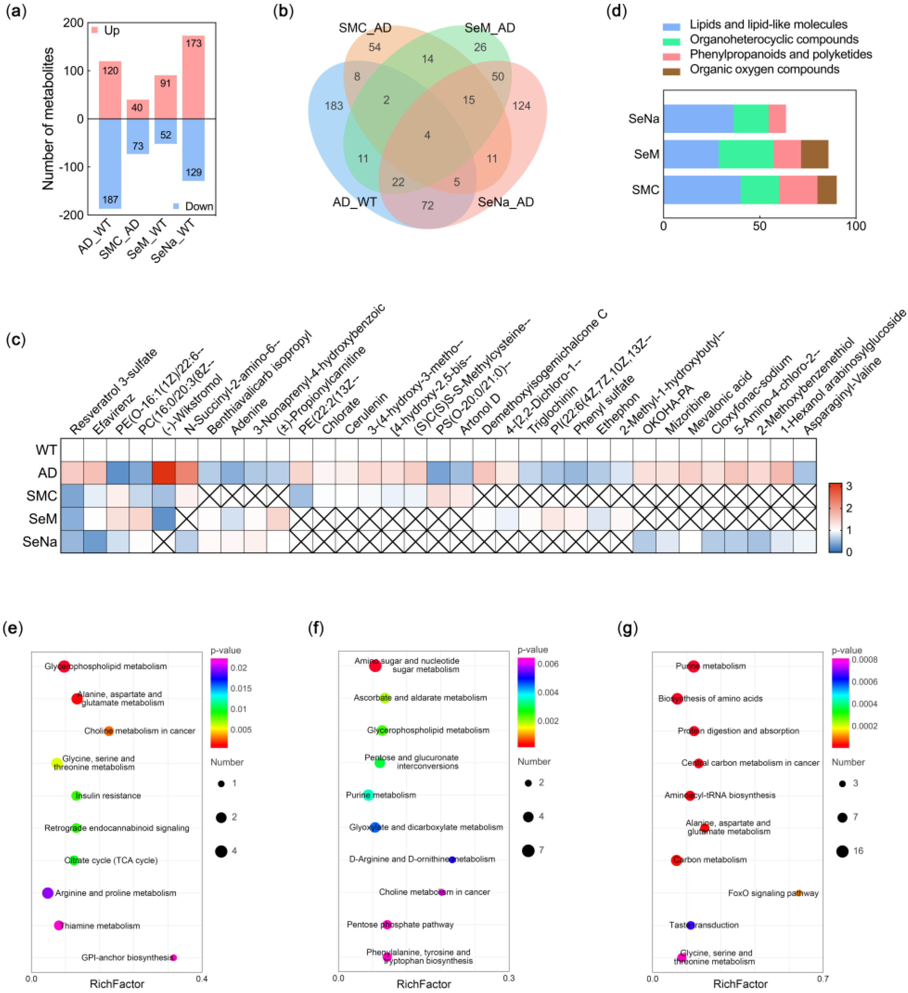 Antioxidants 12 00702 g004 Antioxidants 12 00702 g004
