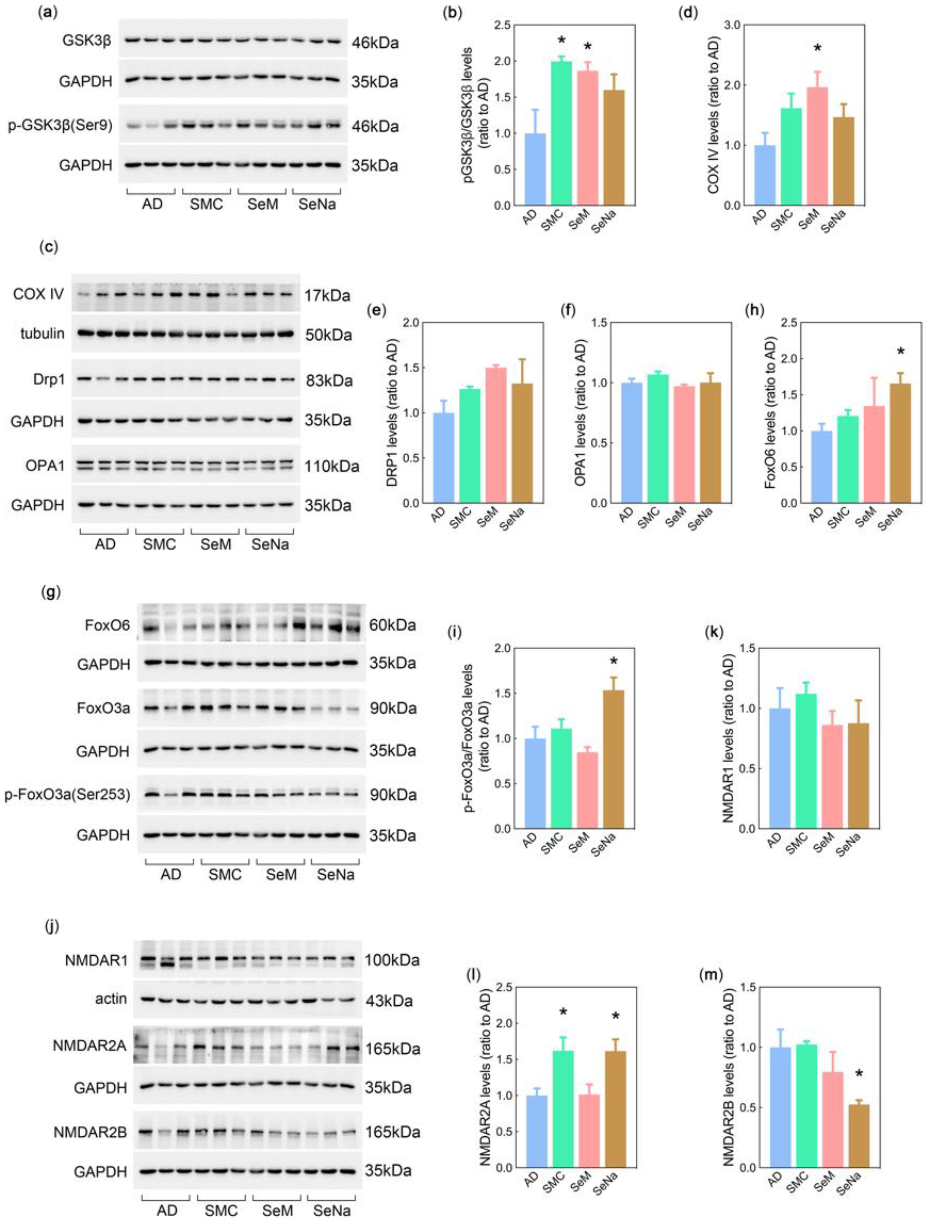 Antioxidants 12 00702 g005 Antioxidants 12 00702 g005