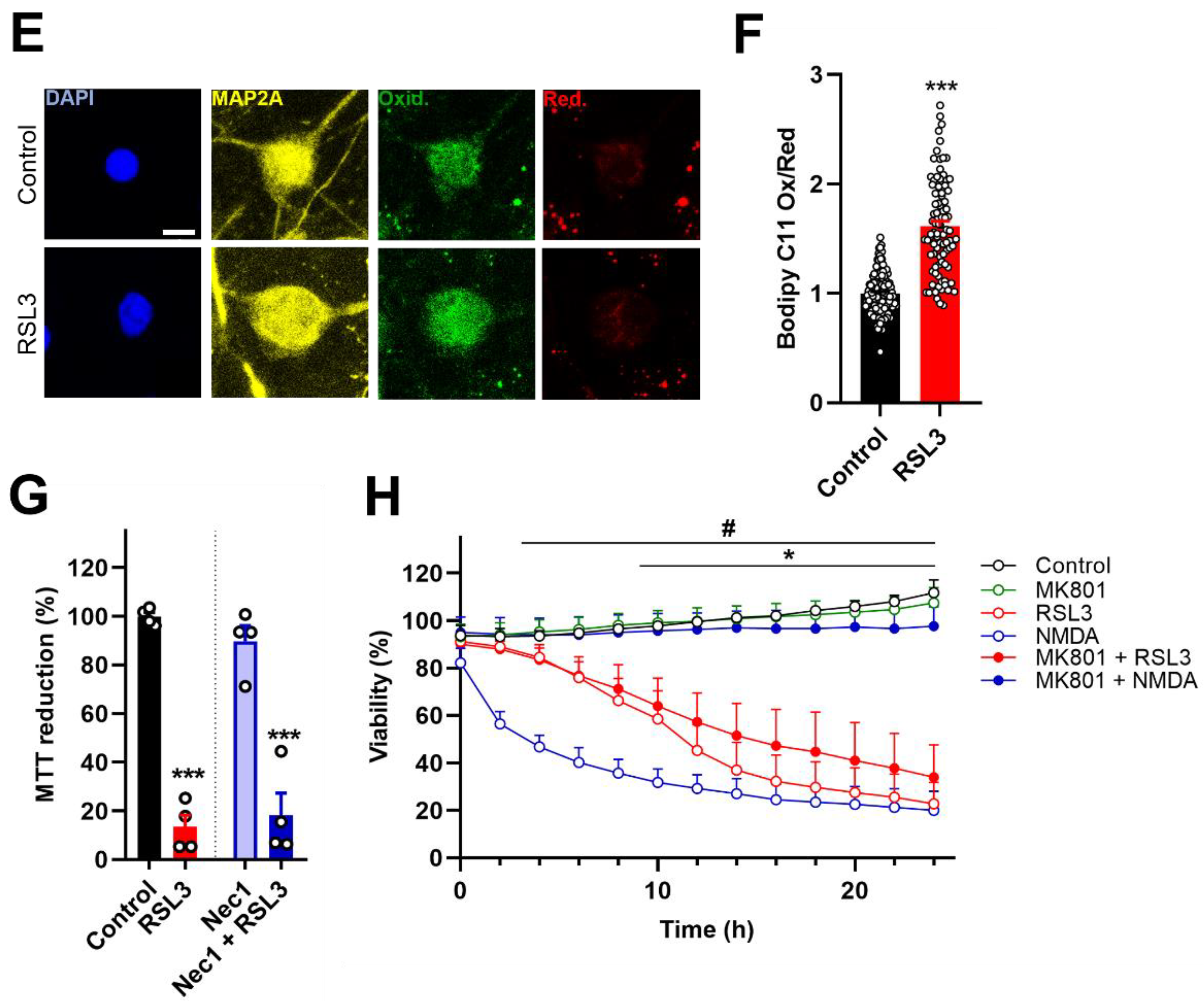 Antioxidants 12 00705 g002b Antioxidants 12 00705 g002b