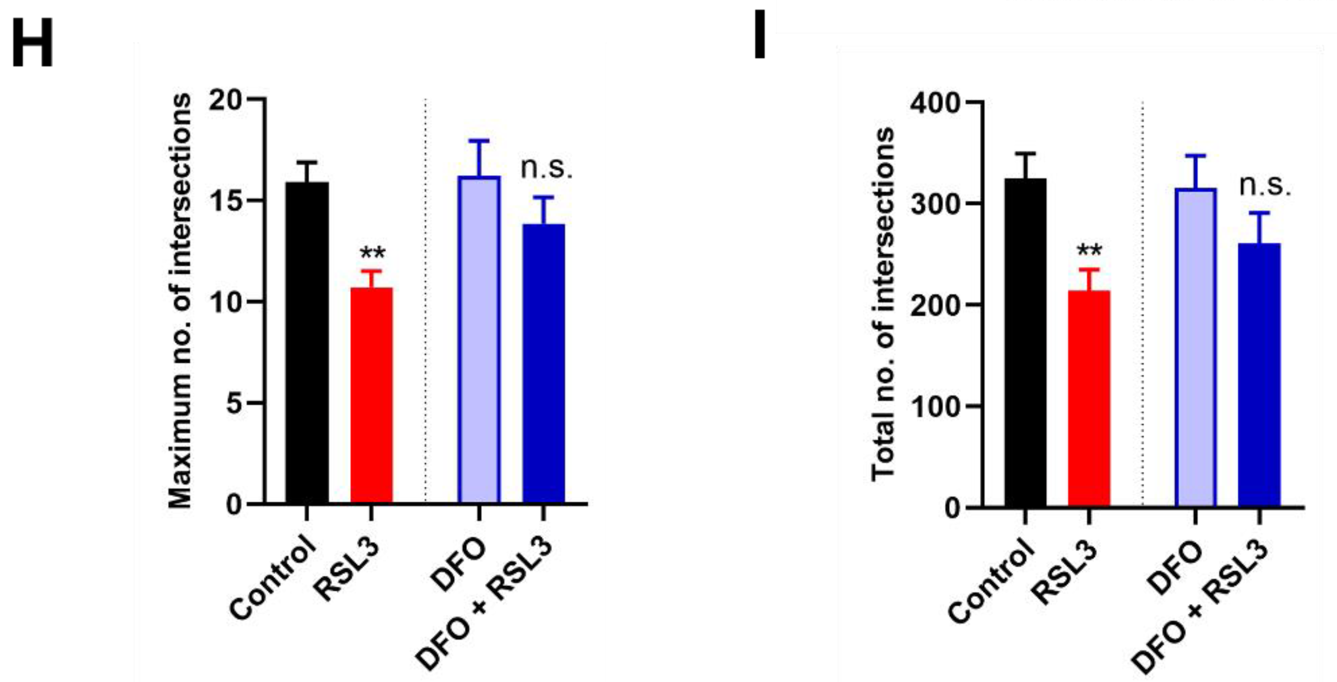 Antioxidants 12 00705 g003b Antioxidants 12 00705 g003b