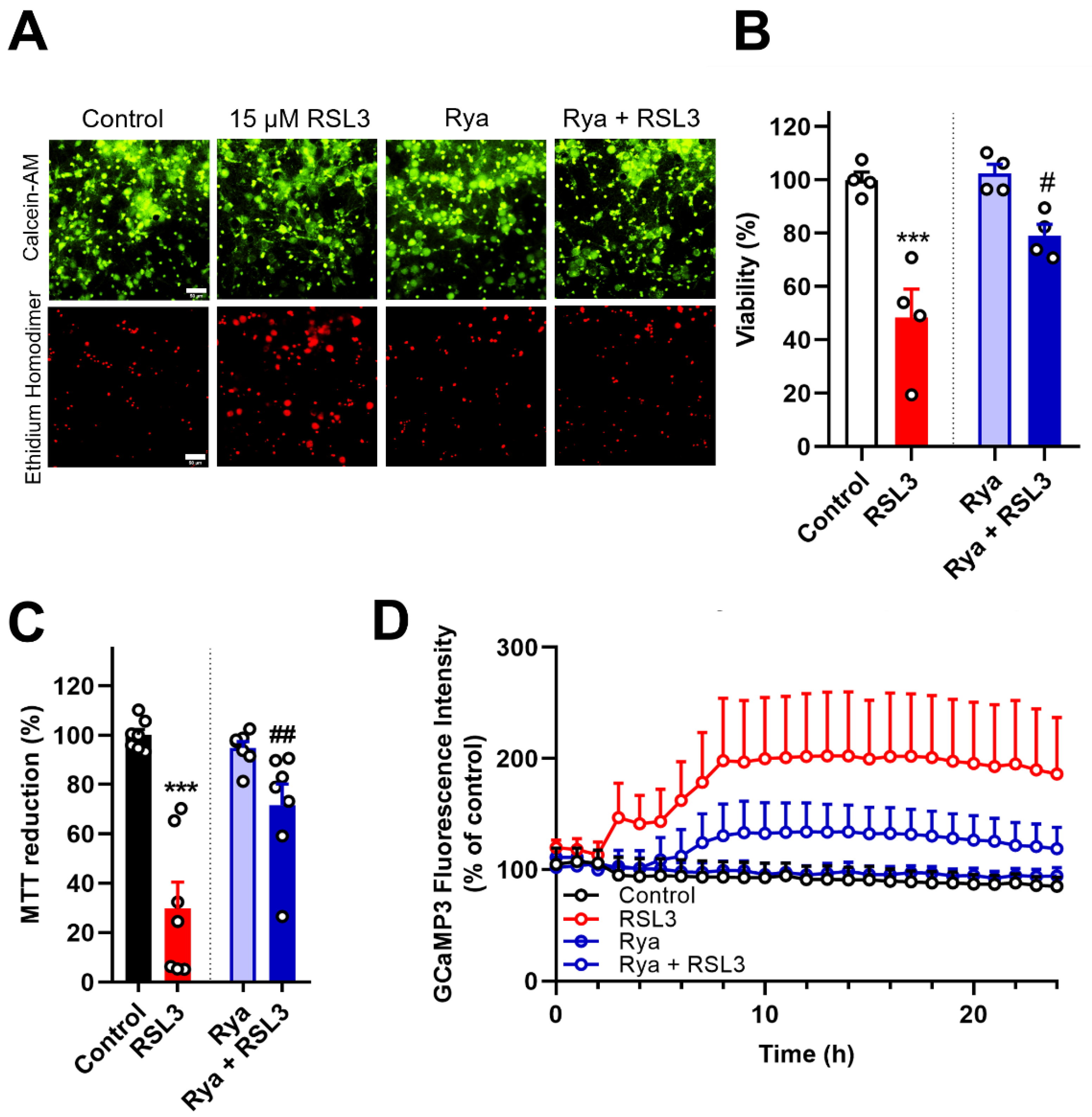 Antioxidants 12 00705 g005 Antioxidants 12 00705 g005