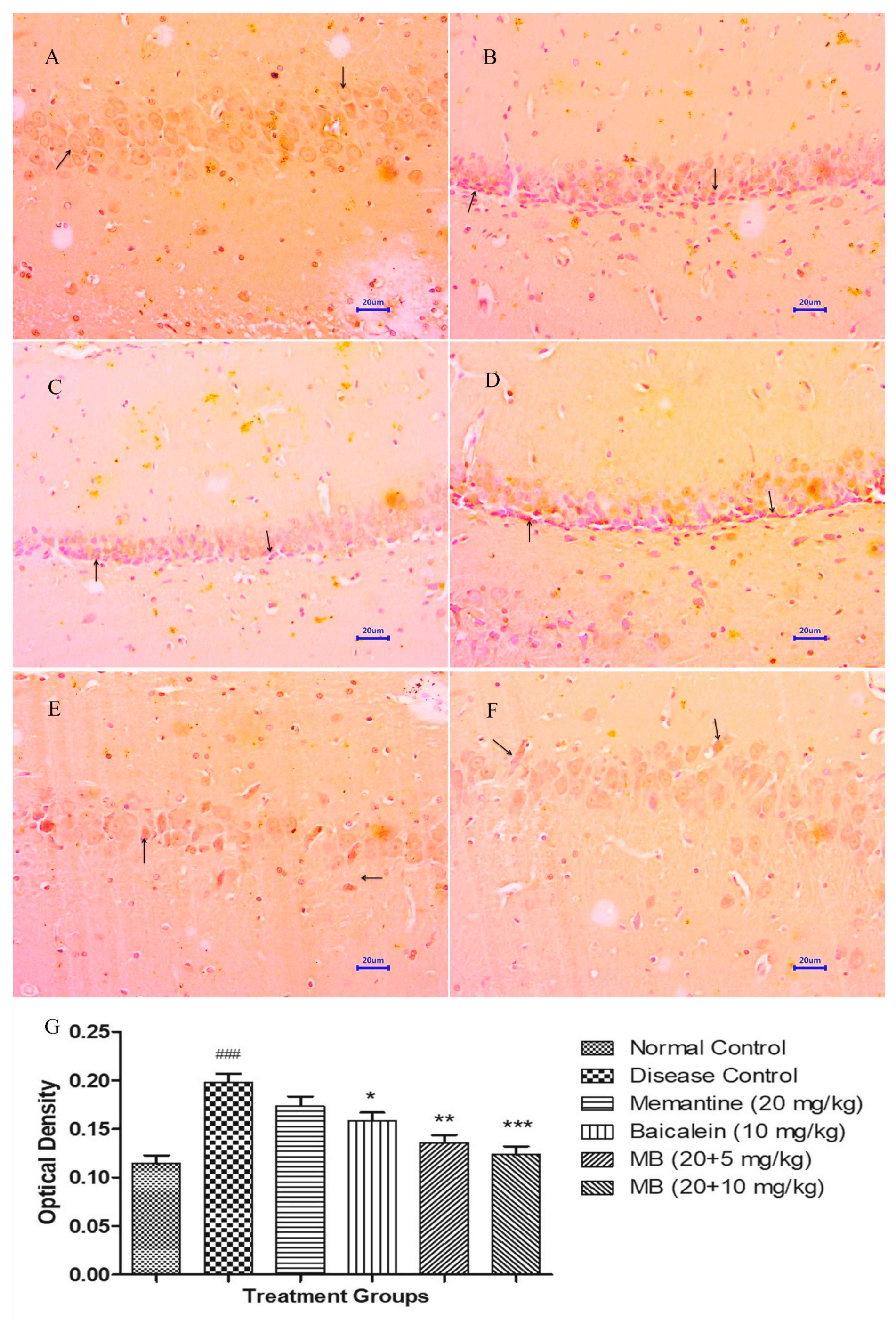Antioxidants 12 00707 g010