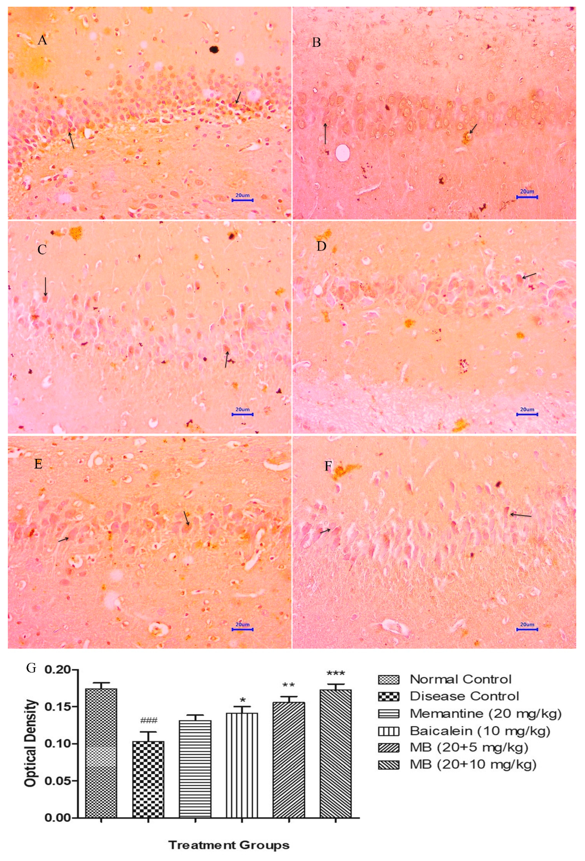 Antioxidants 12 00707 g012