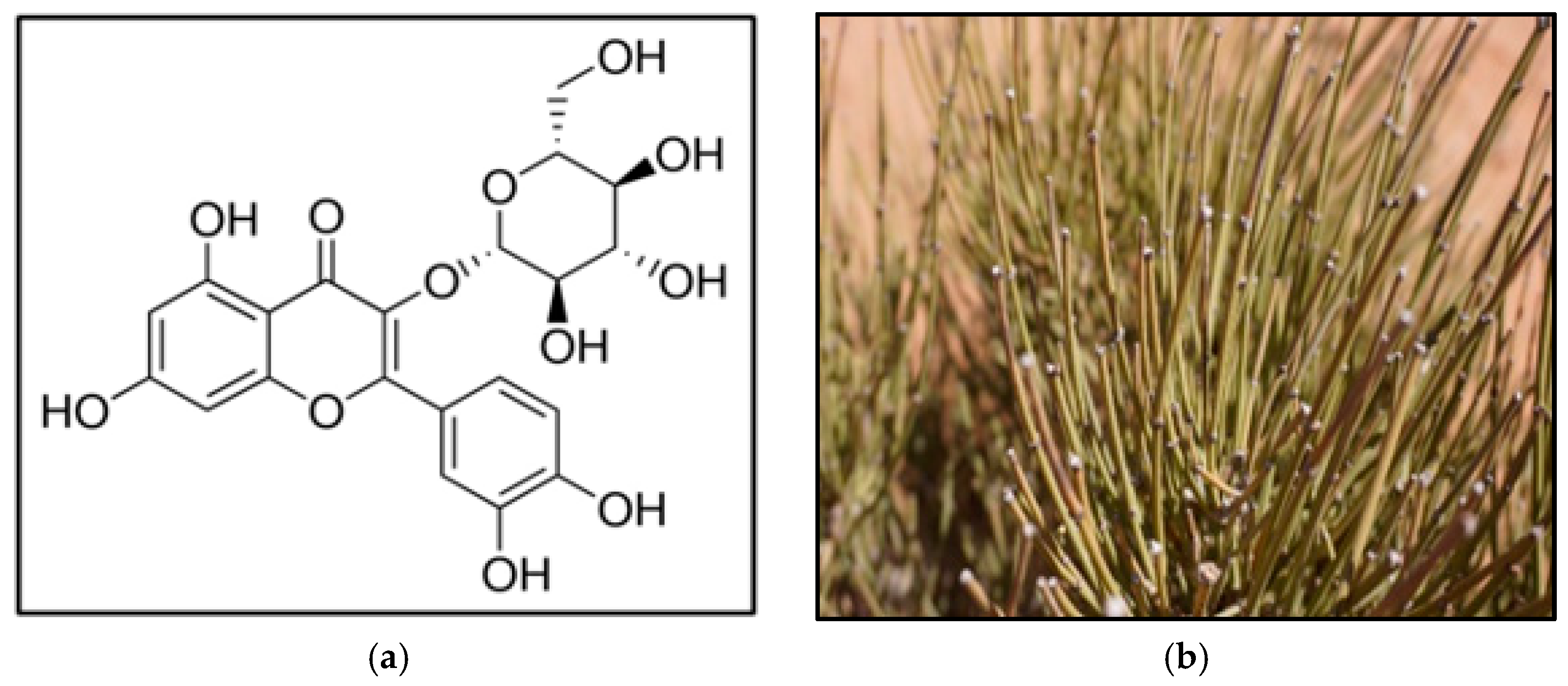 Antioxidants 12 00725 g001