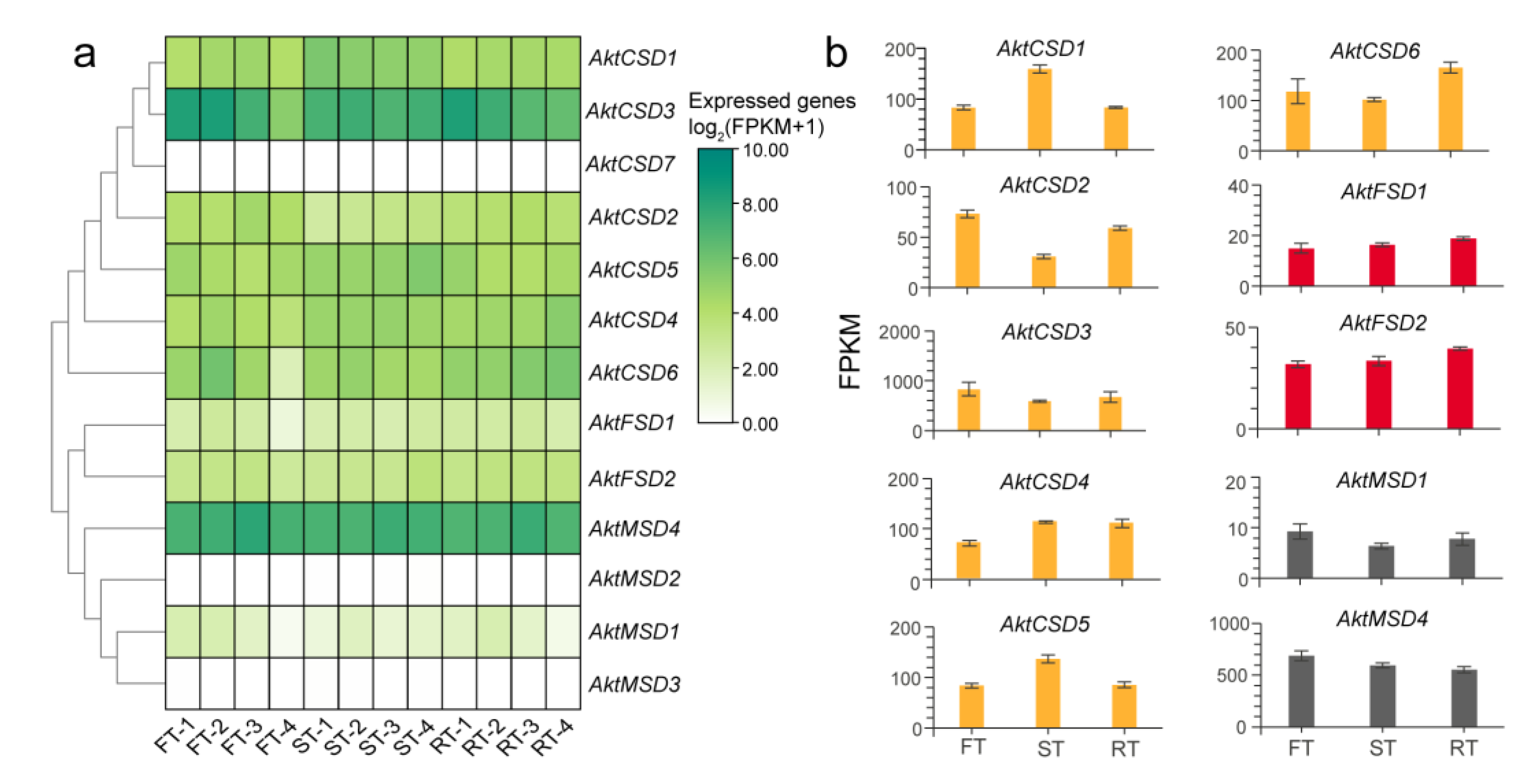 Antioxidants 12 00726 g005