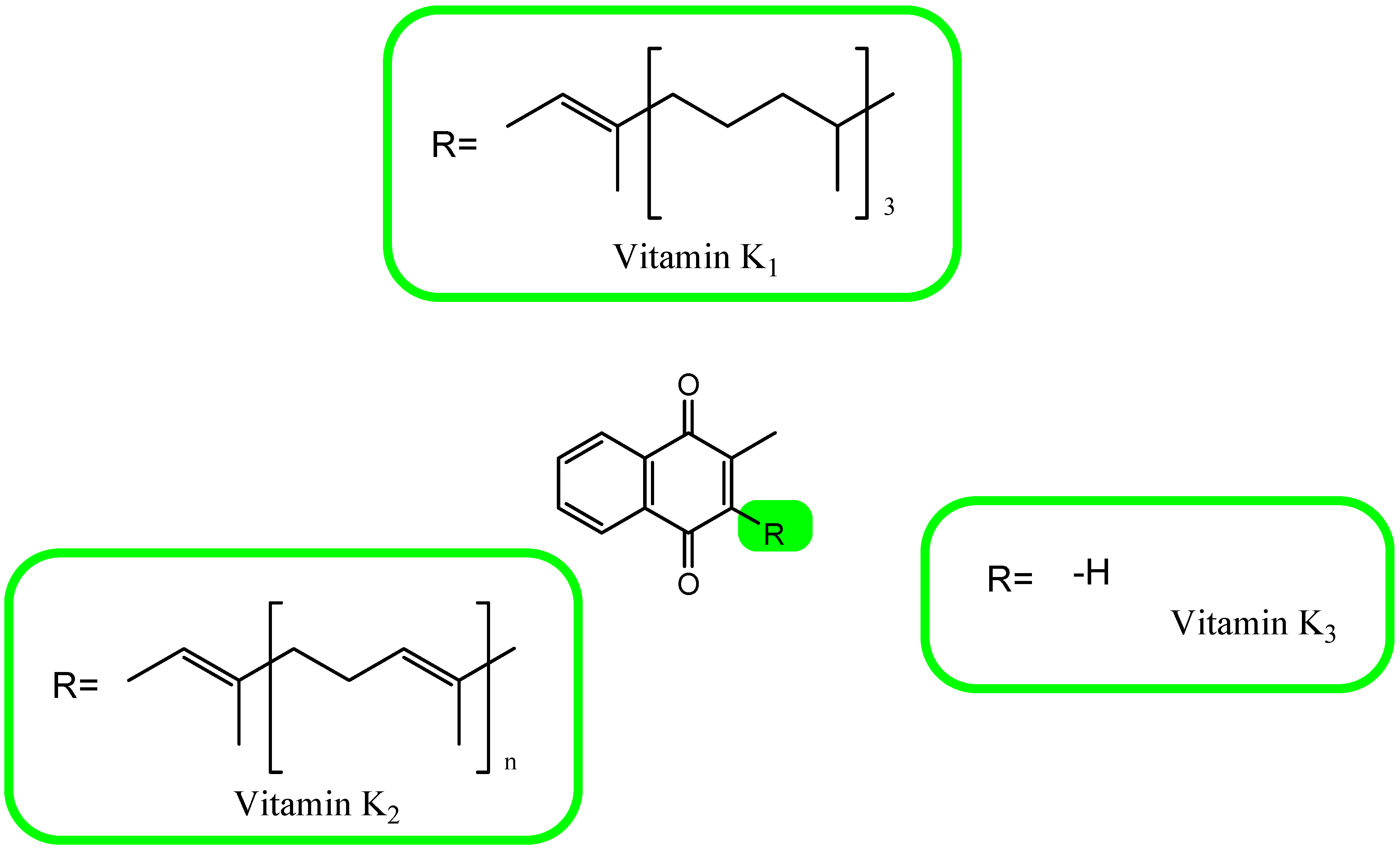 Antioxidants 12 00733 g003