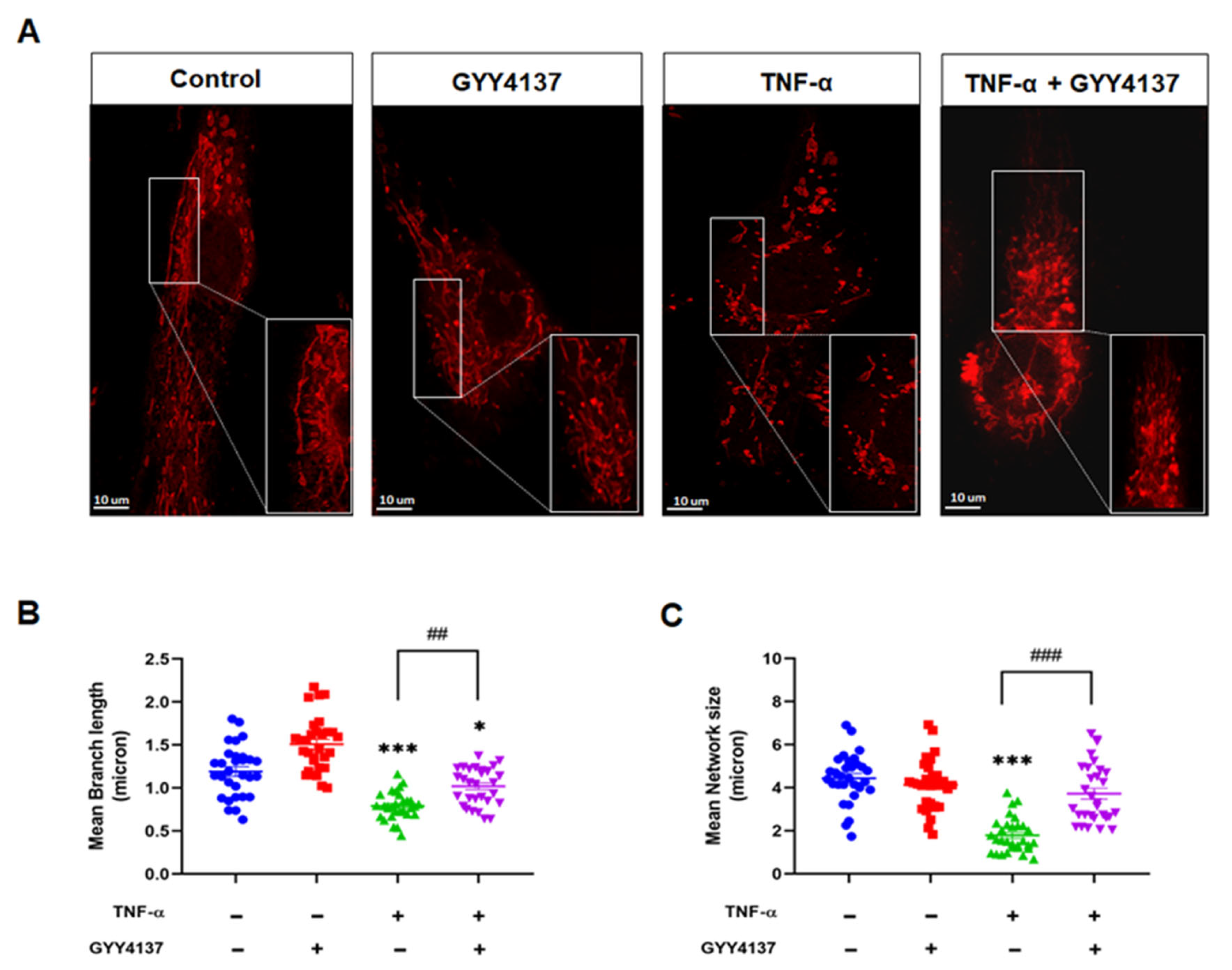 Antioxidants 12 00734 g008 Antioxidants 12 00734 g008