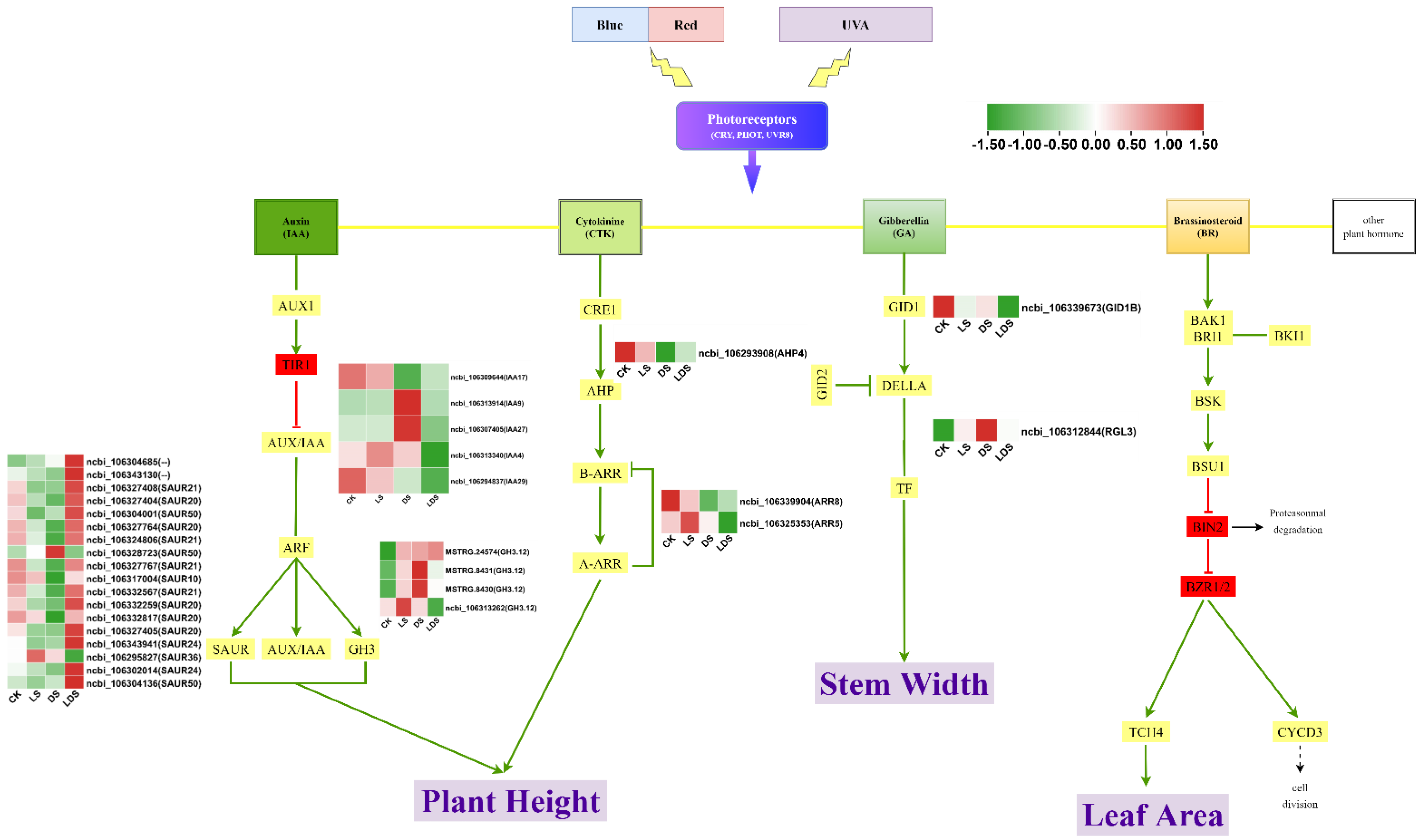 Antioxidants 12 00737 g004