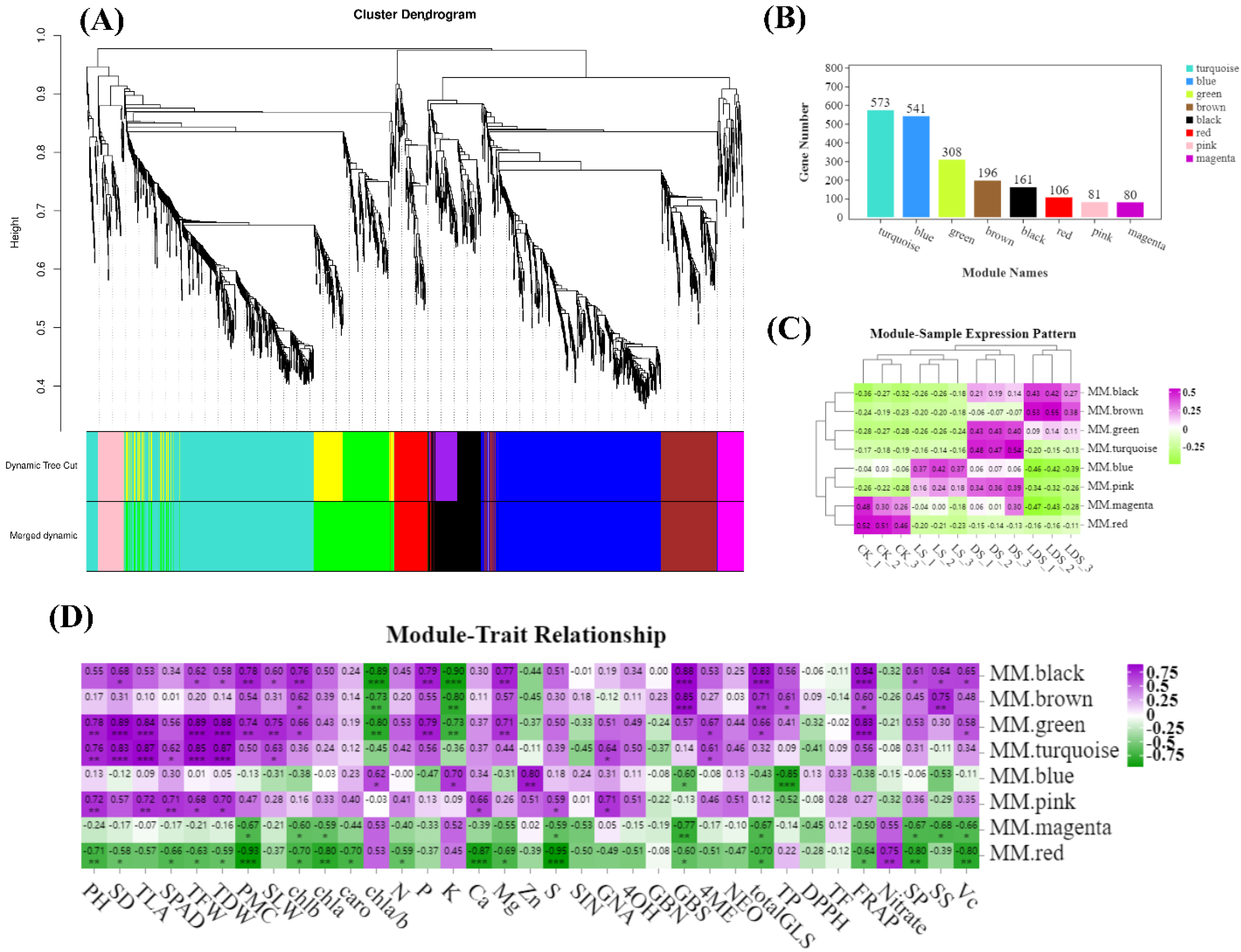 Antioxidants 12 00737 g006