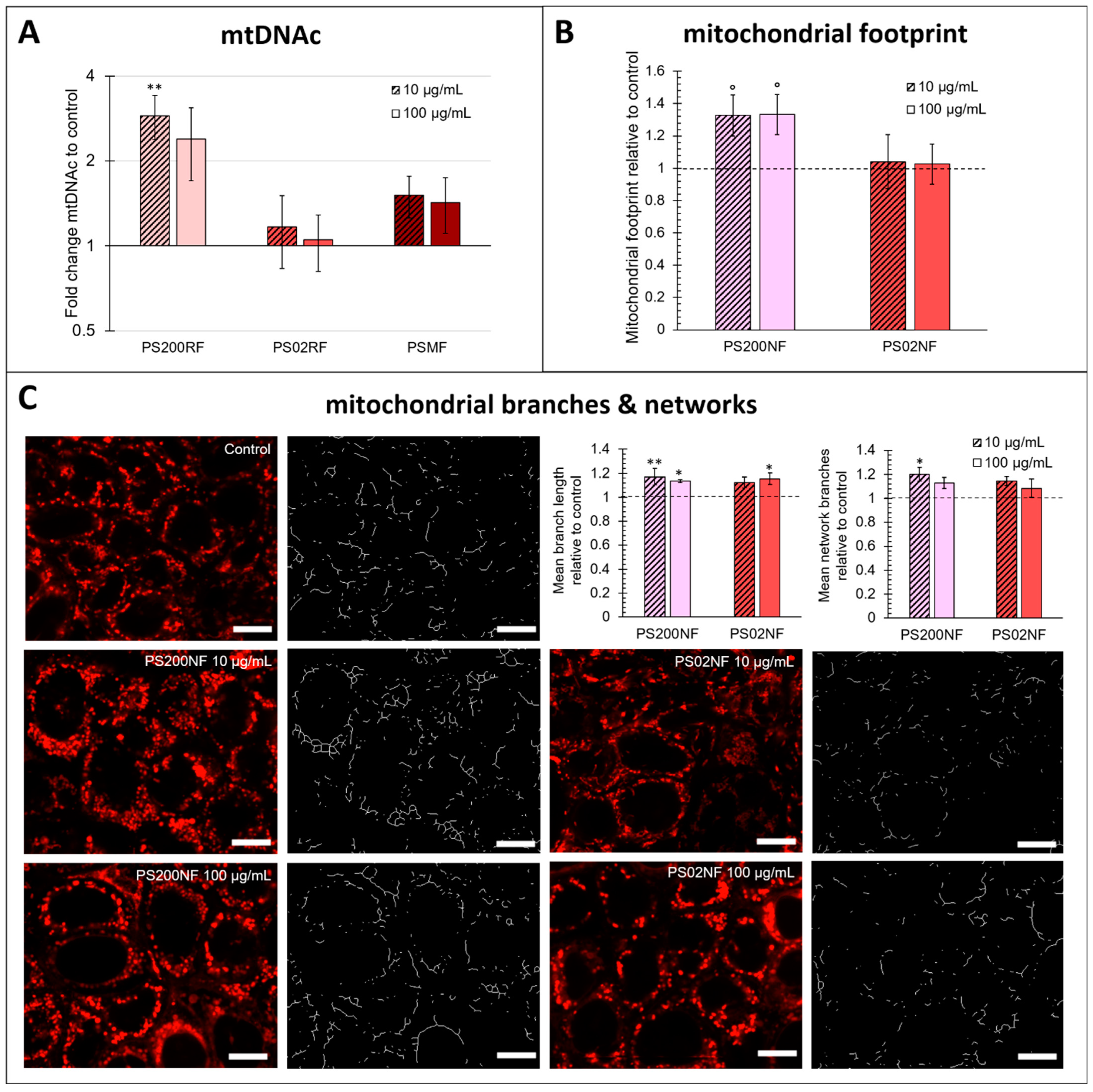 Antioxidants 12 00739 g006