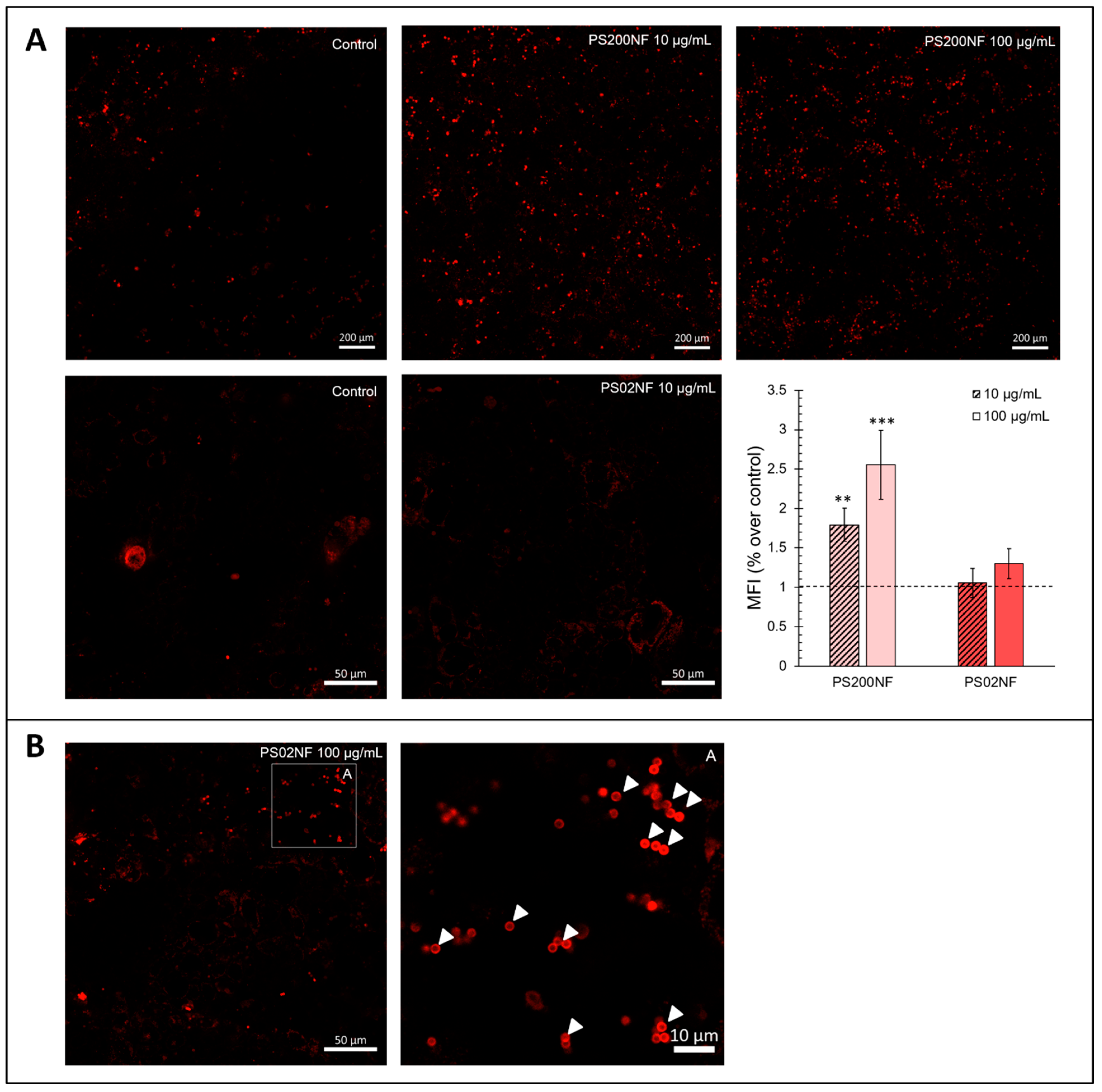 Antioxidants 12 00739 g0a3