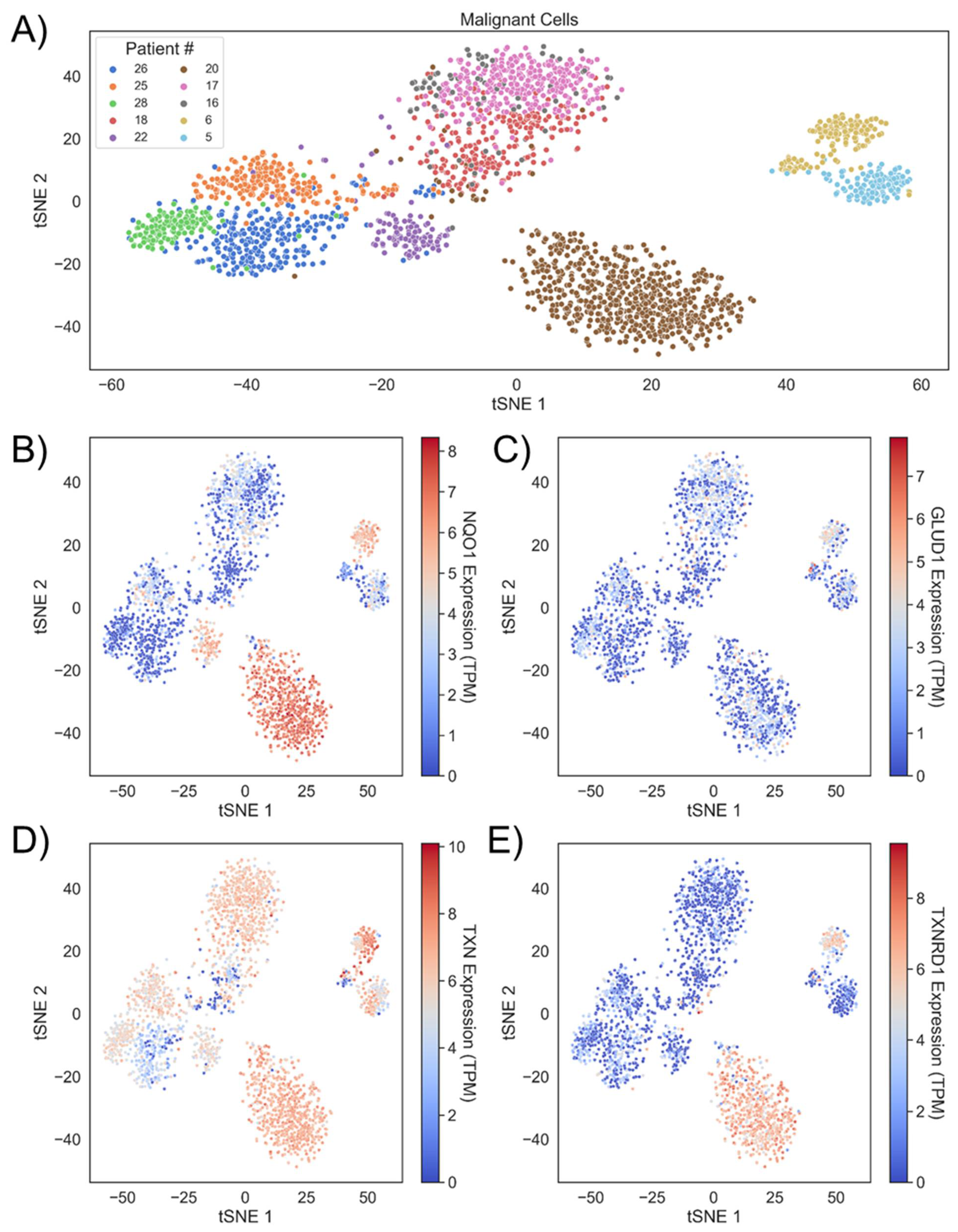 Antioxidants 12 00741 g002 Antioxidants 12 00741 g002