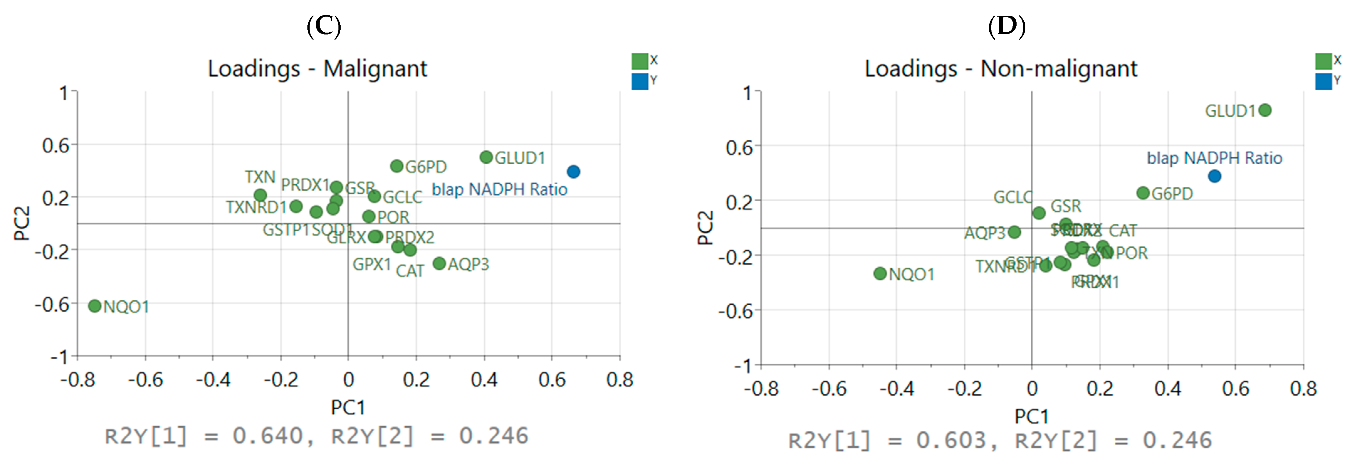 Antioxidants 12 00741 g005b Antioxidants 12 00741 g005b