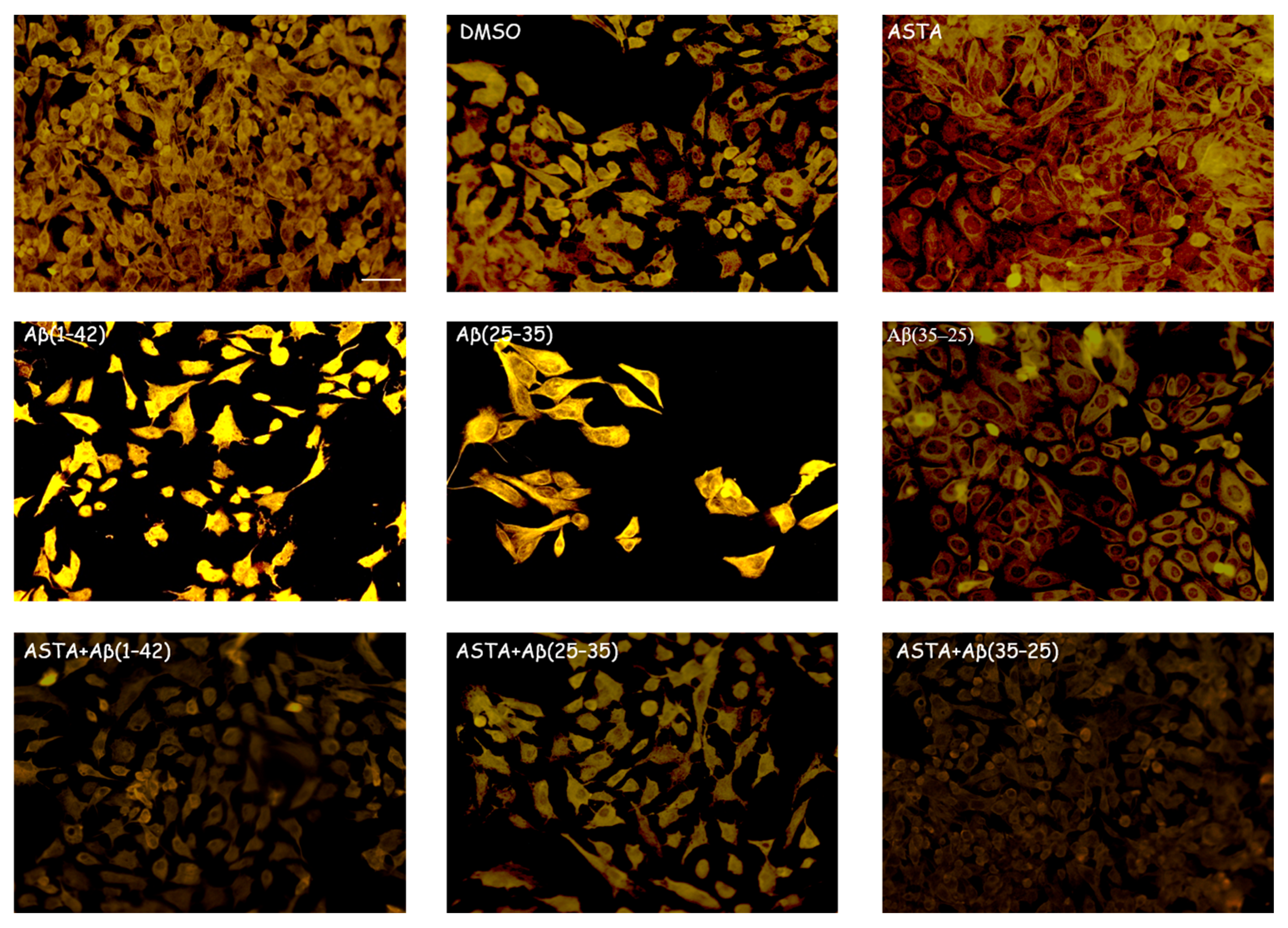 Antioxidants 12 00750 g003 Antioxidants 12 00750 g003