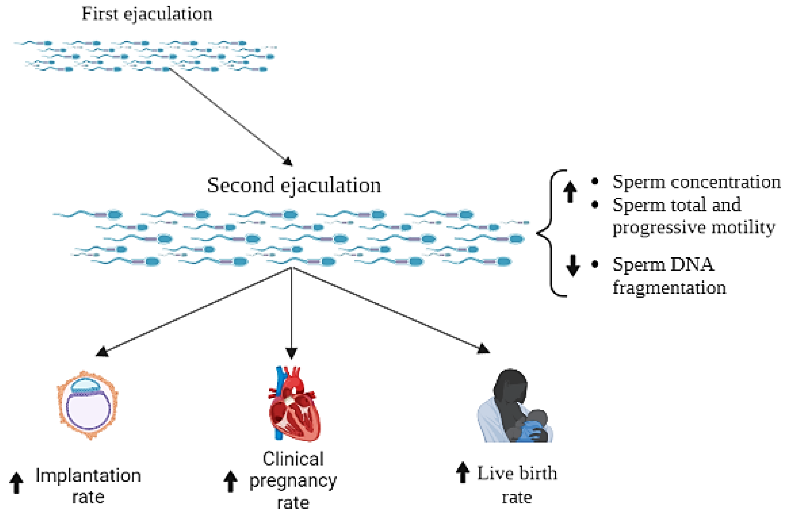 Antioxidants 12 00752 g007 Antioxidants 12 00752 g007