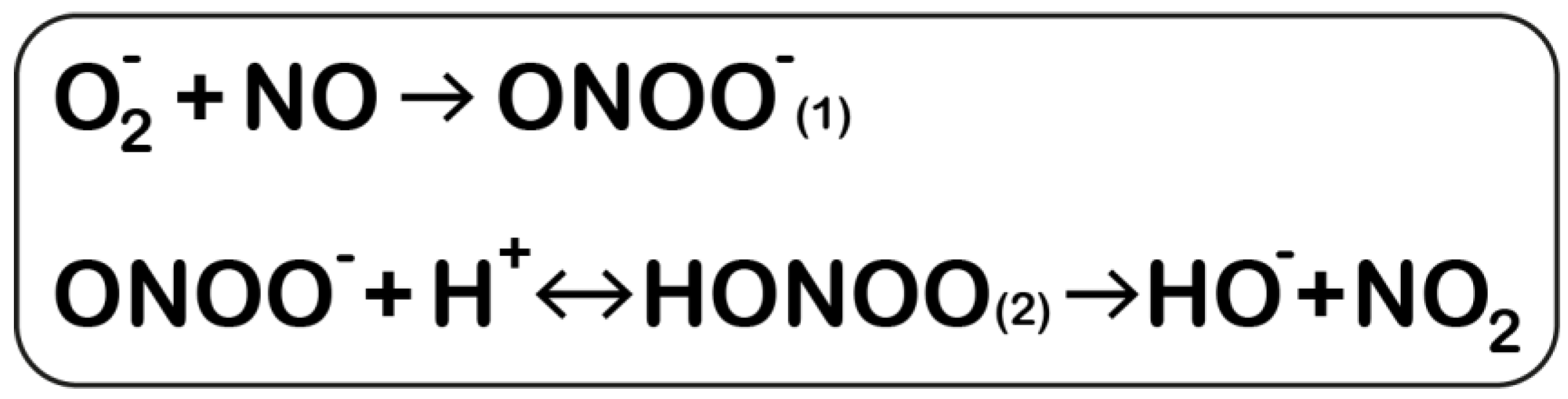 Antioxidants 12 00753 g001 Antioxidants 12 00753 g001