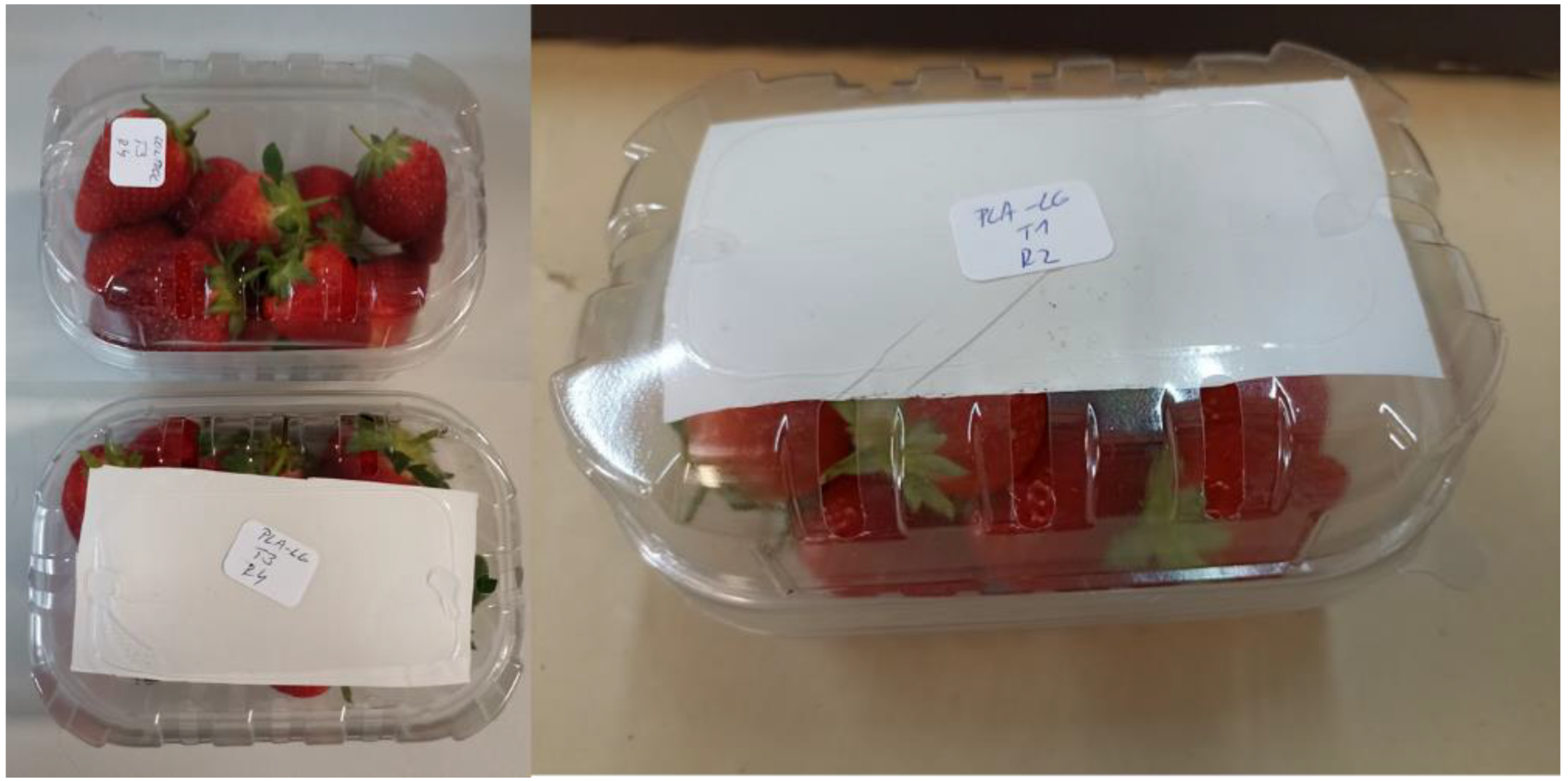 Antioxidants 12 00755 g001 Antioxidants 12 00755 g001