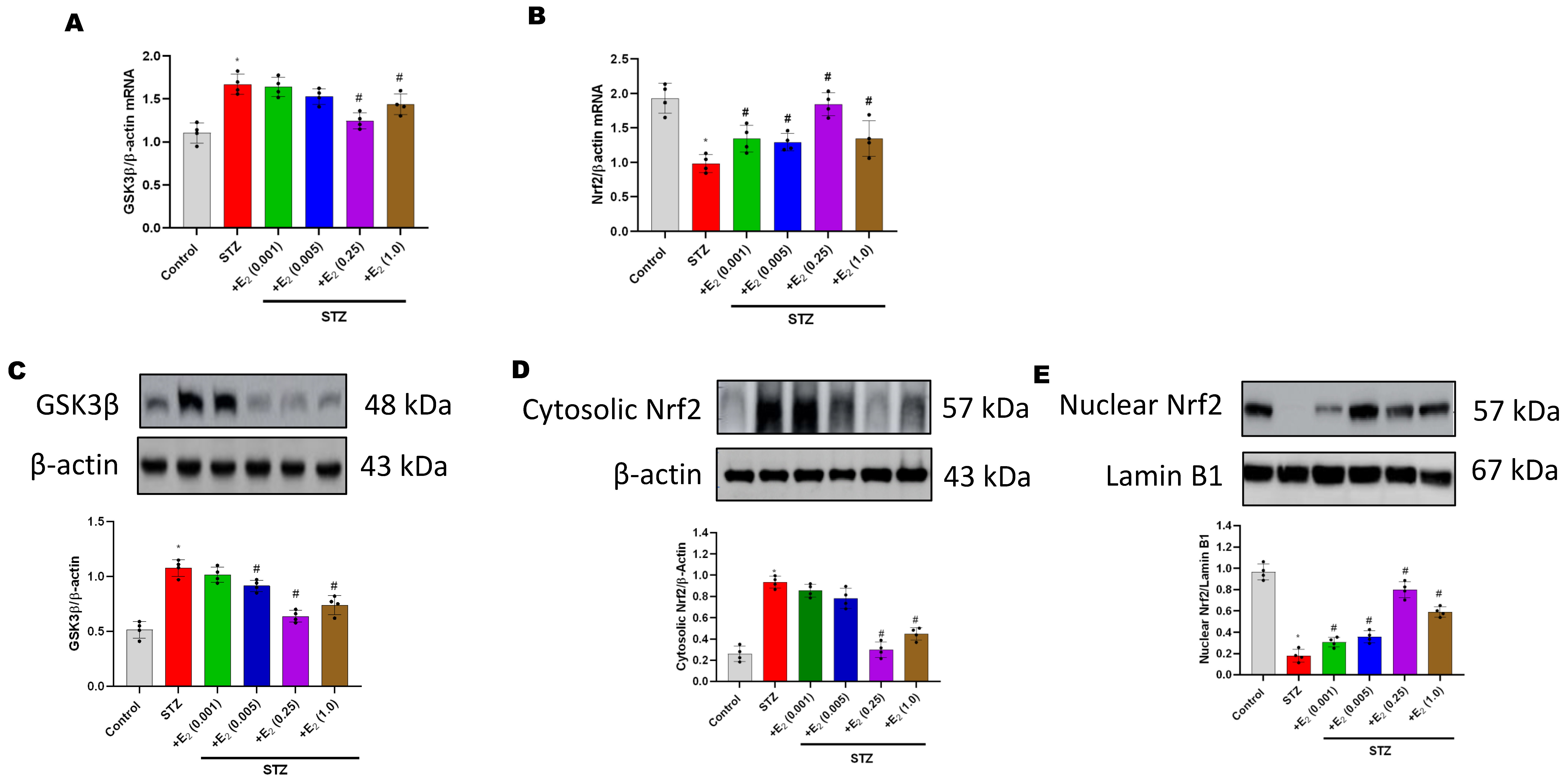 Antioxidants 12 00758 g003a Antioxidants 12 00758 g003a