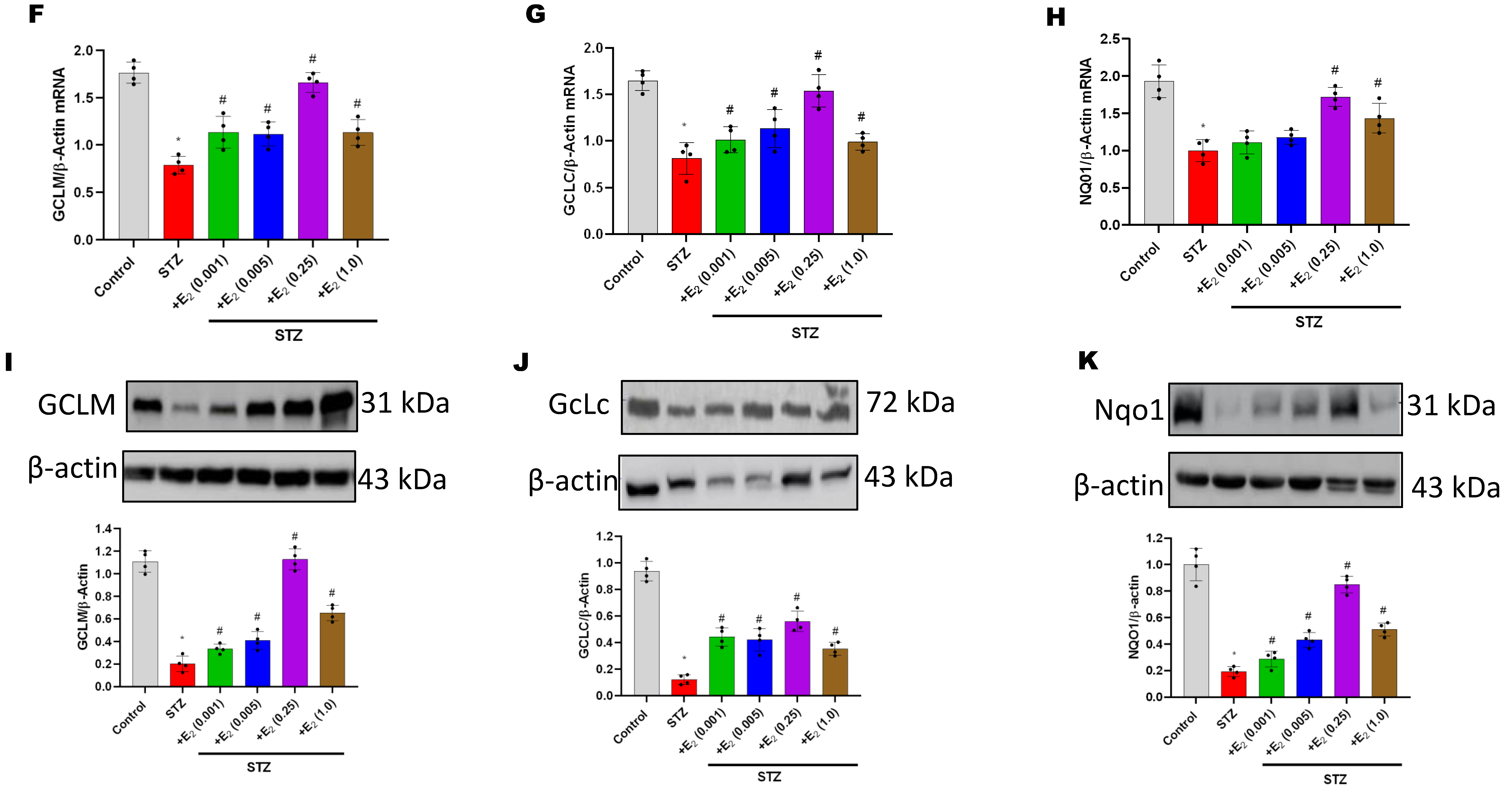 Antioxidants 12 00758 g003b Antioxidants 12 00758 g003b