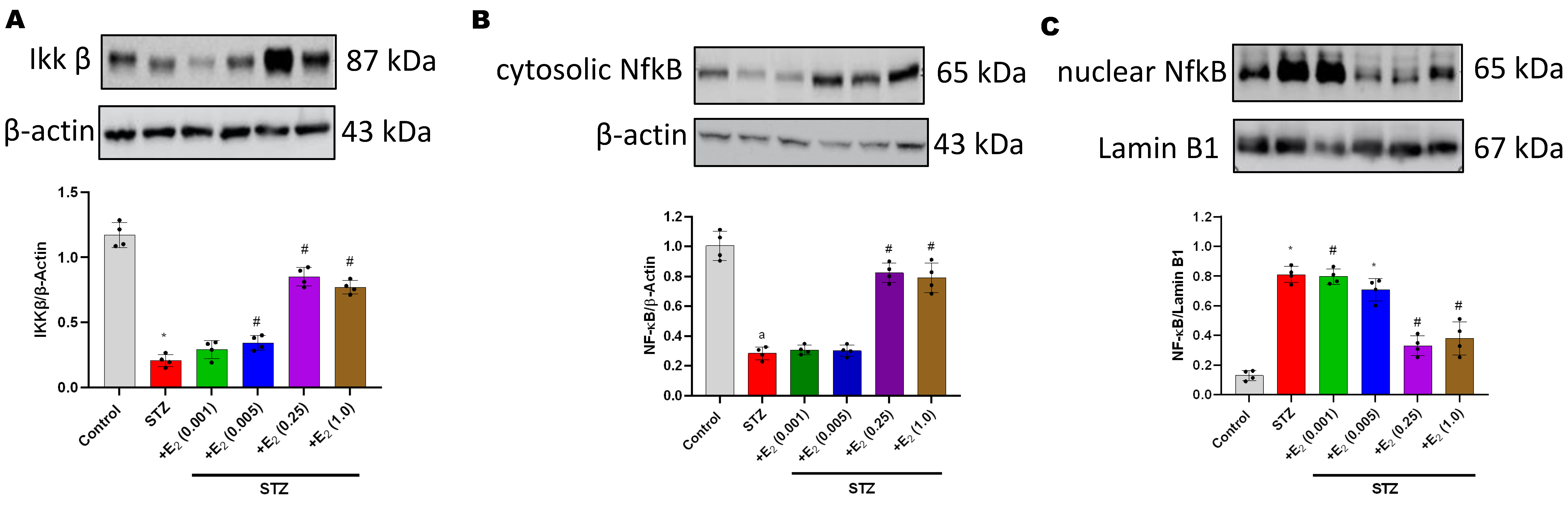 Antioxidants 12 00758 g005a Antioxidants 12 00758 g005a