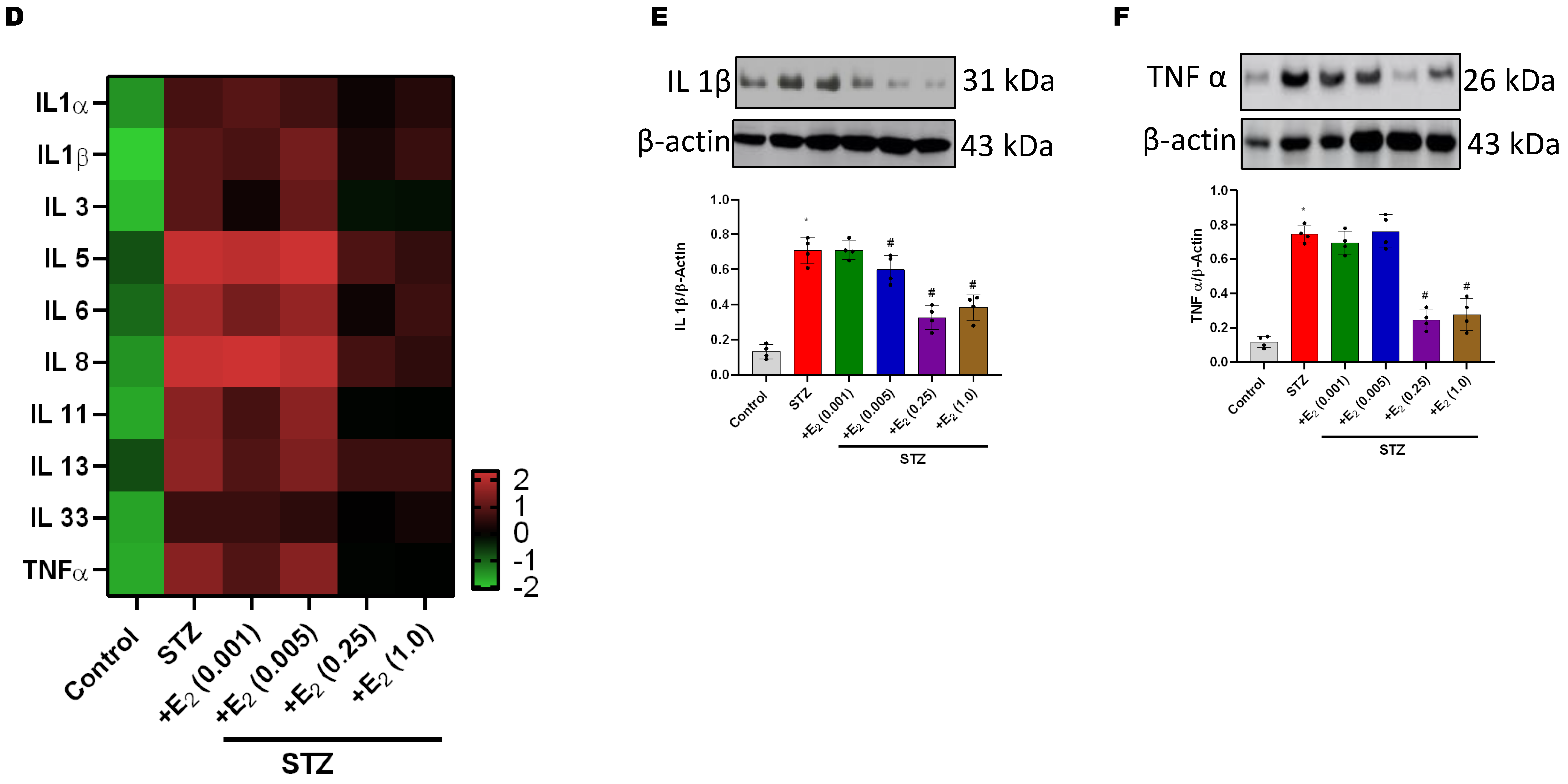 Antioxidants 12 00758 g005b Antioxidants 12 00758 g005b