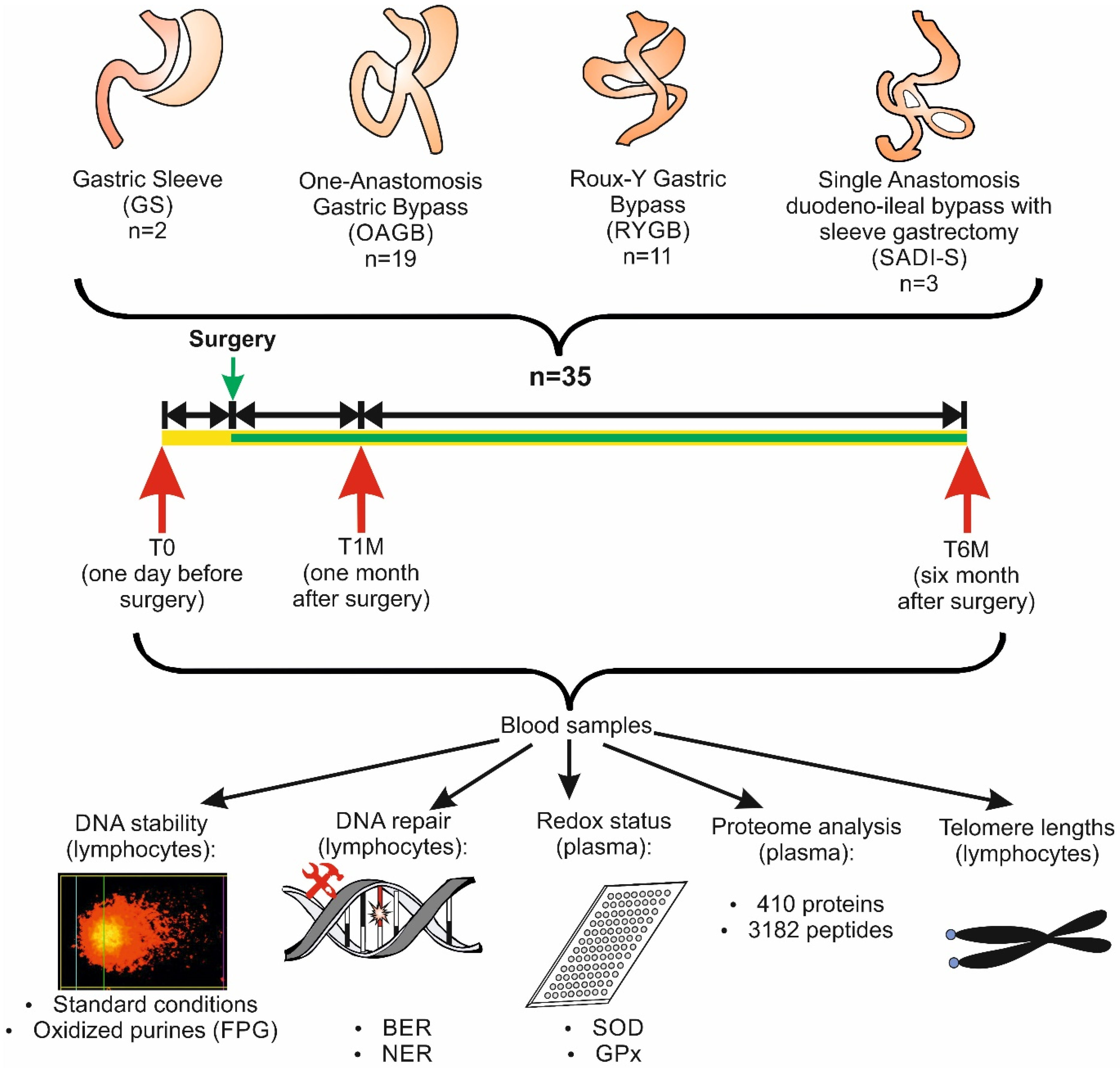 Antioxidants 12 00760 g001
