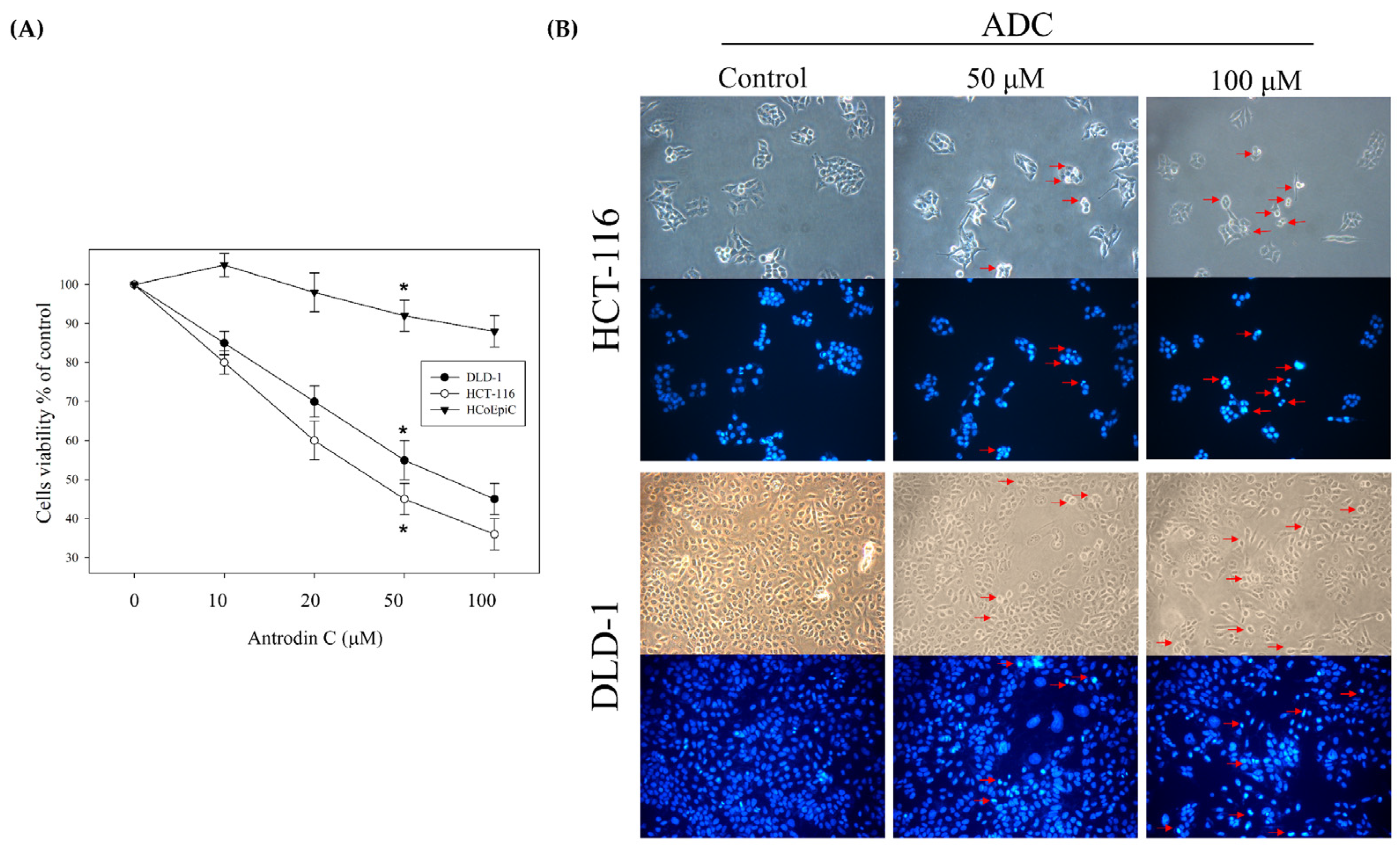 Antioxidants 12 00764 g002 Antioxidants 12 00764 g002