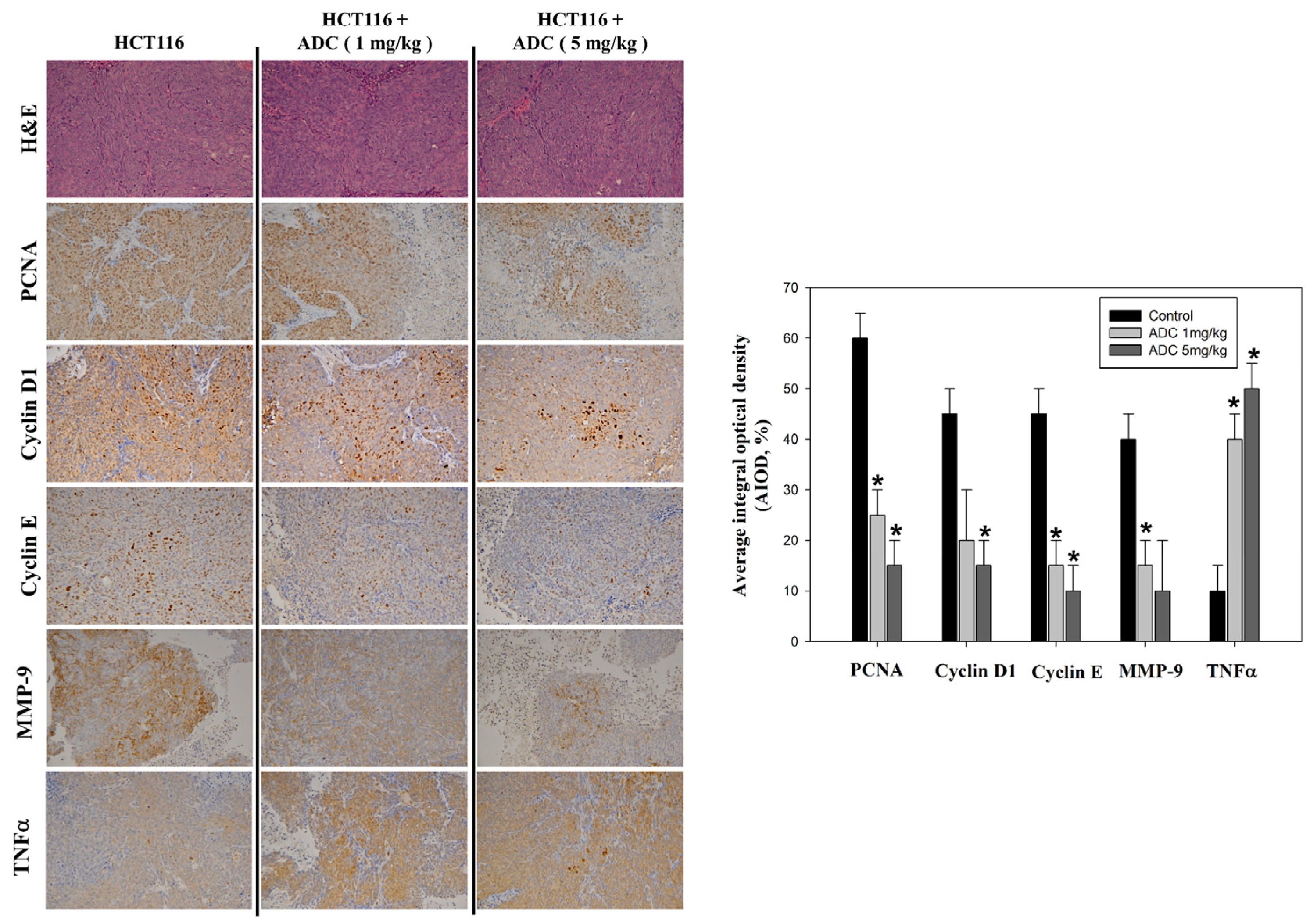 Antioxidants 12 00764 g005 Antioxidants 12 00764 g005