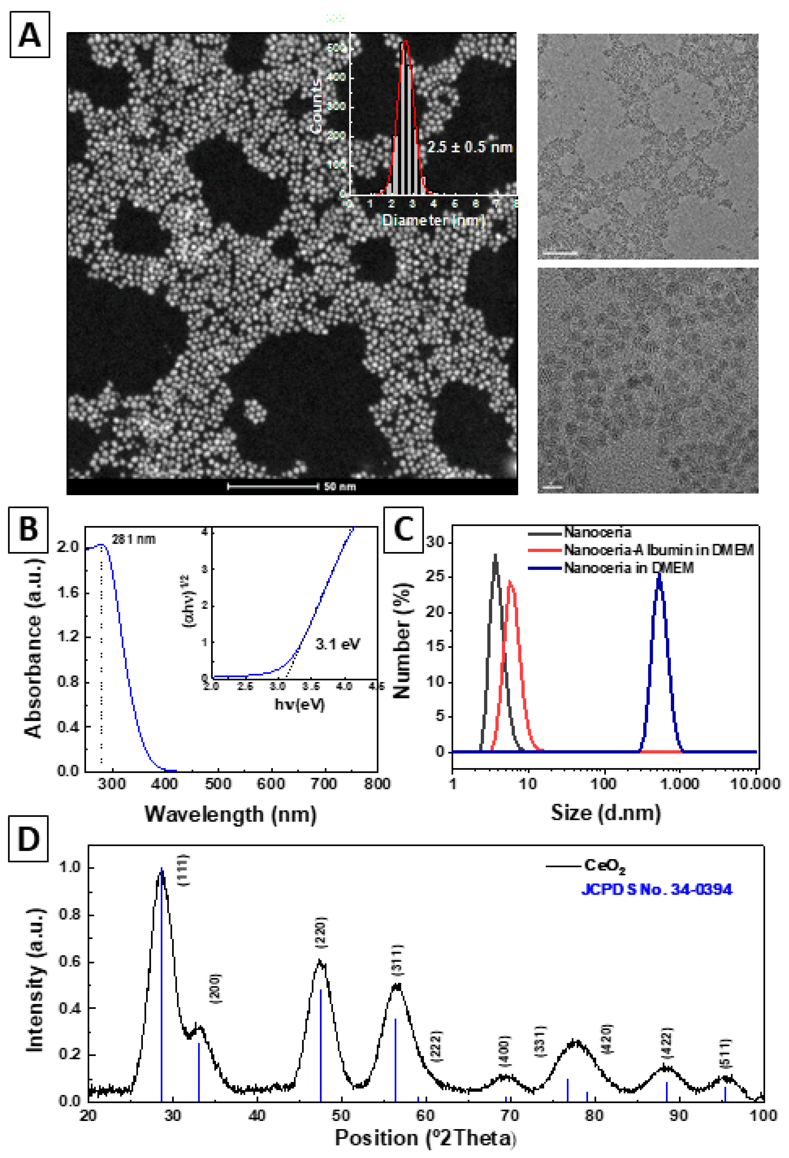 Antioxidants 12 00765 g002 Antioxidants 12 00765 g002