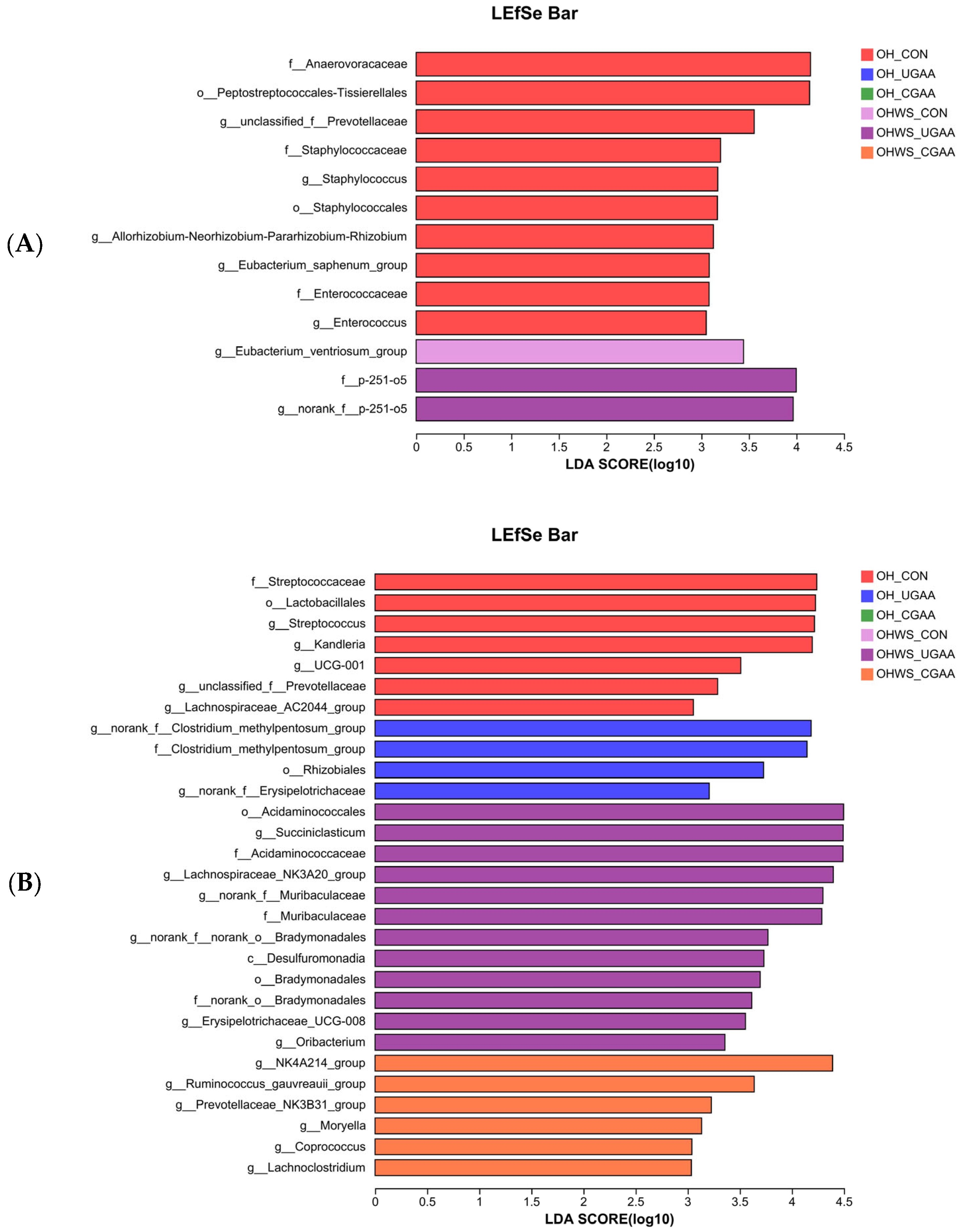 Antioxidants 12 00772 g001 Antioxidants 12 00772 g001